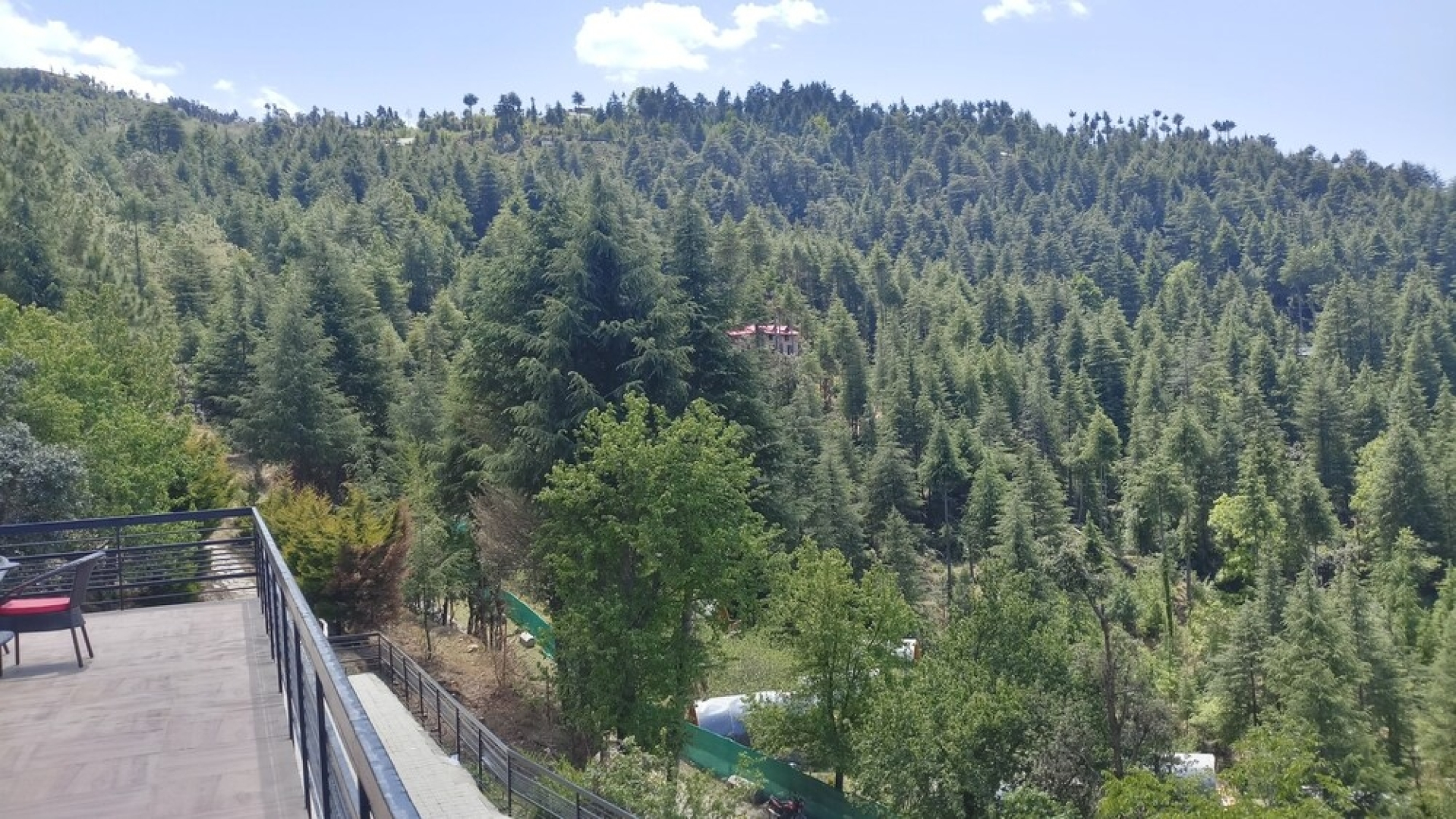 Clarks Exotica Rajgarh