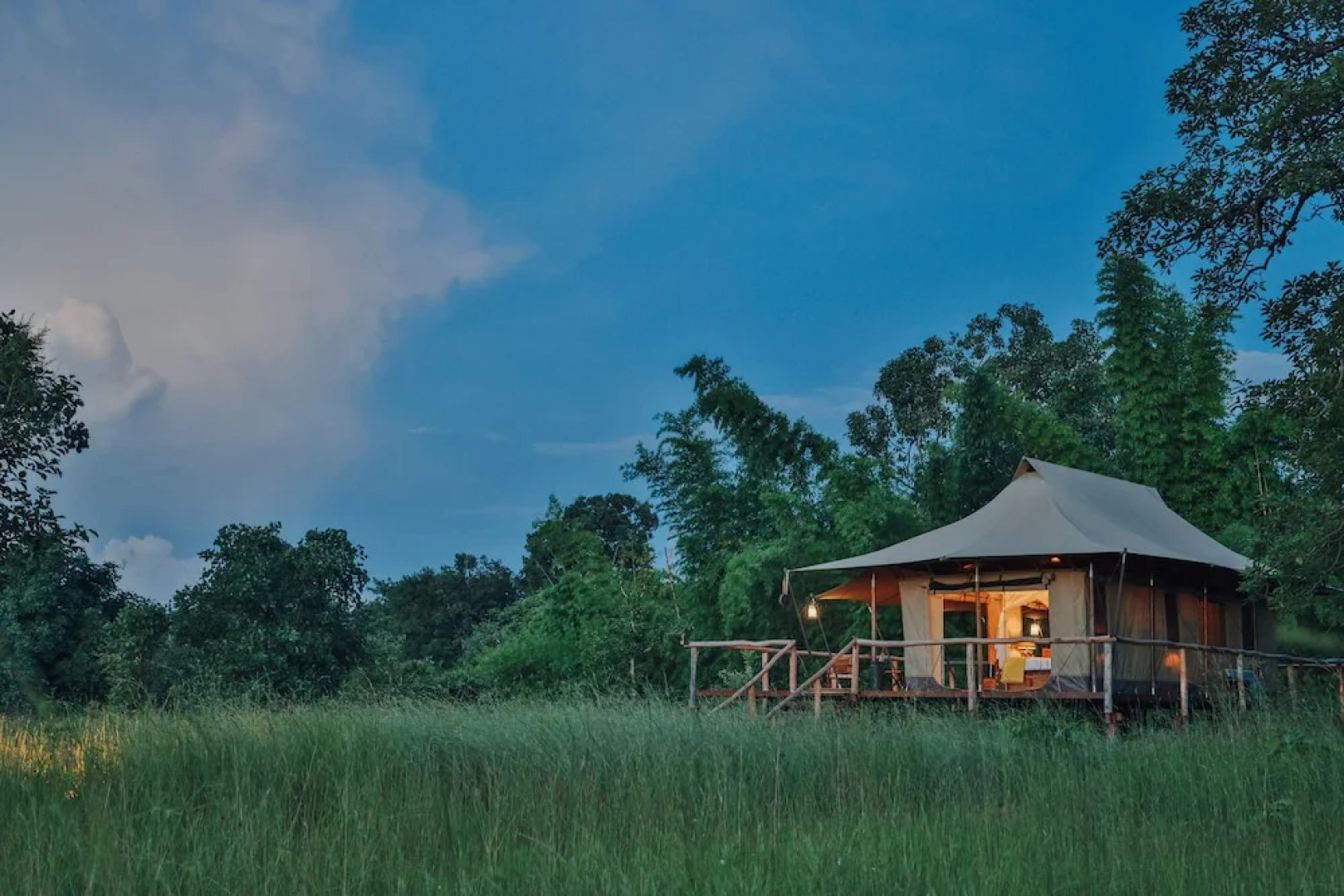 The Untamed Bandhavgarh by TUTC