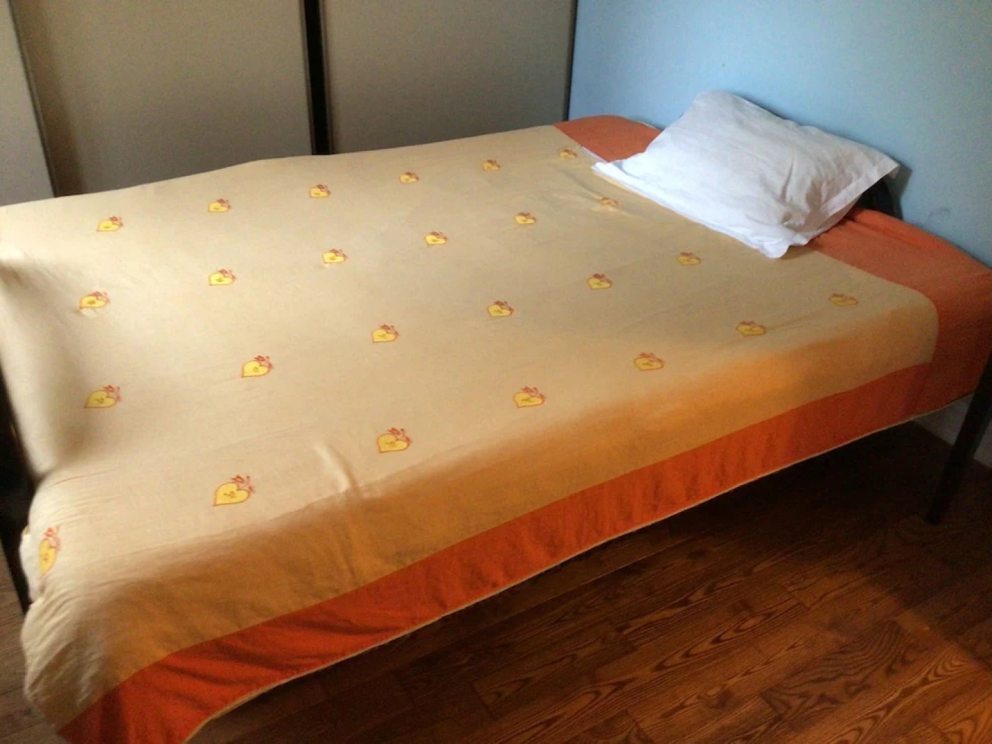 Comfortable Home in Richmond Hill