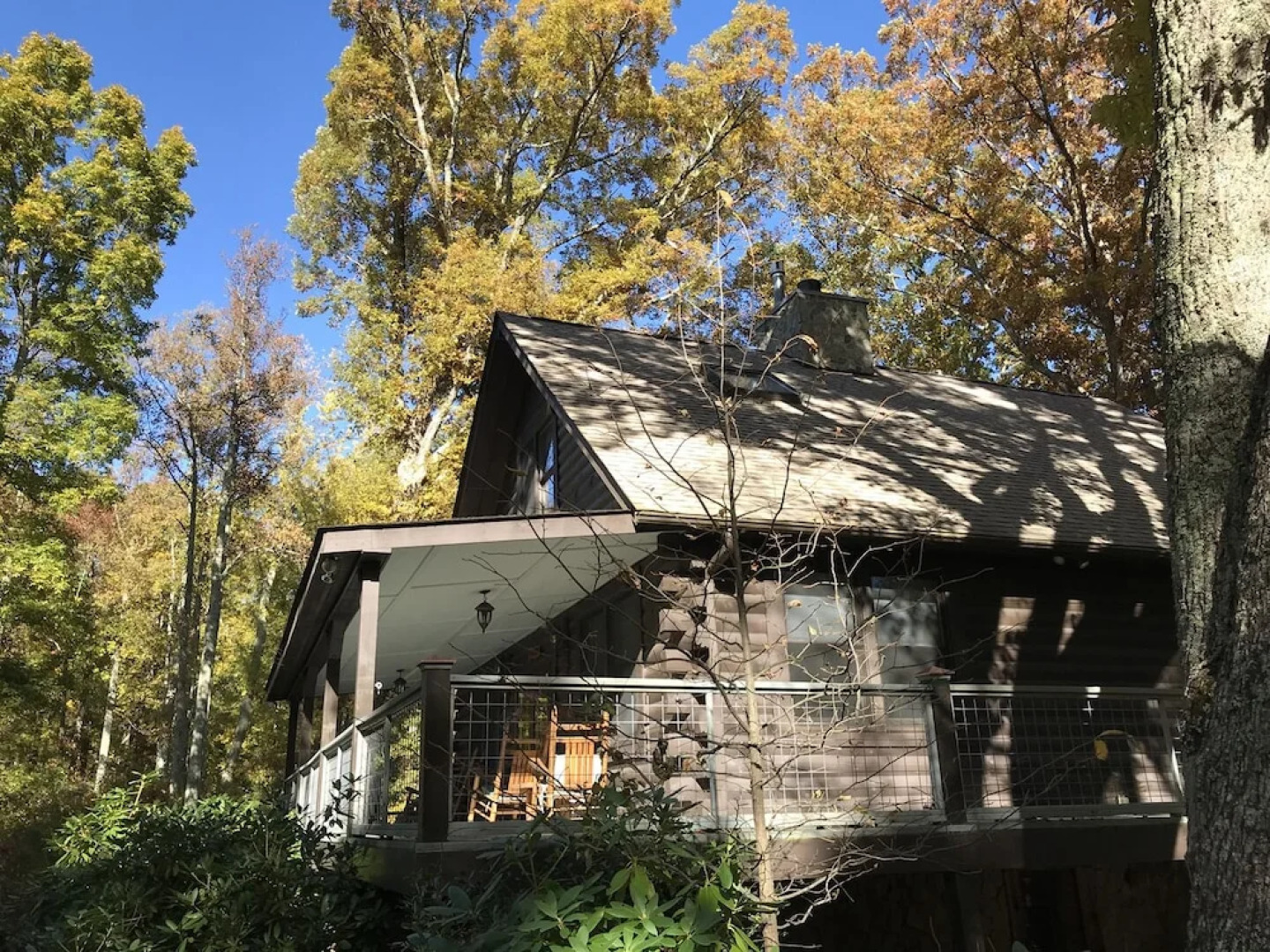 Wild Cat - 1 Br Cabin