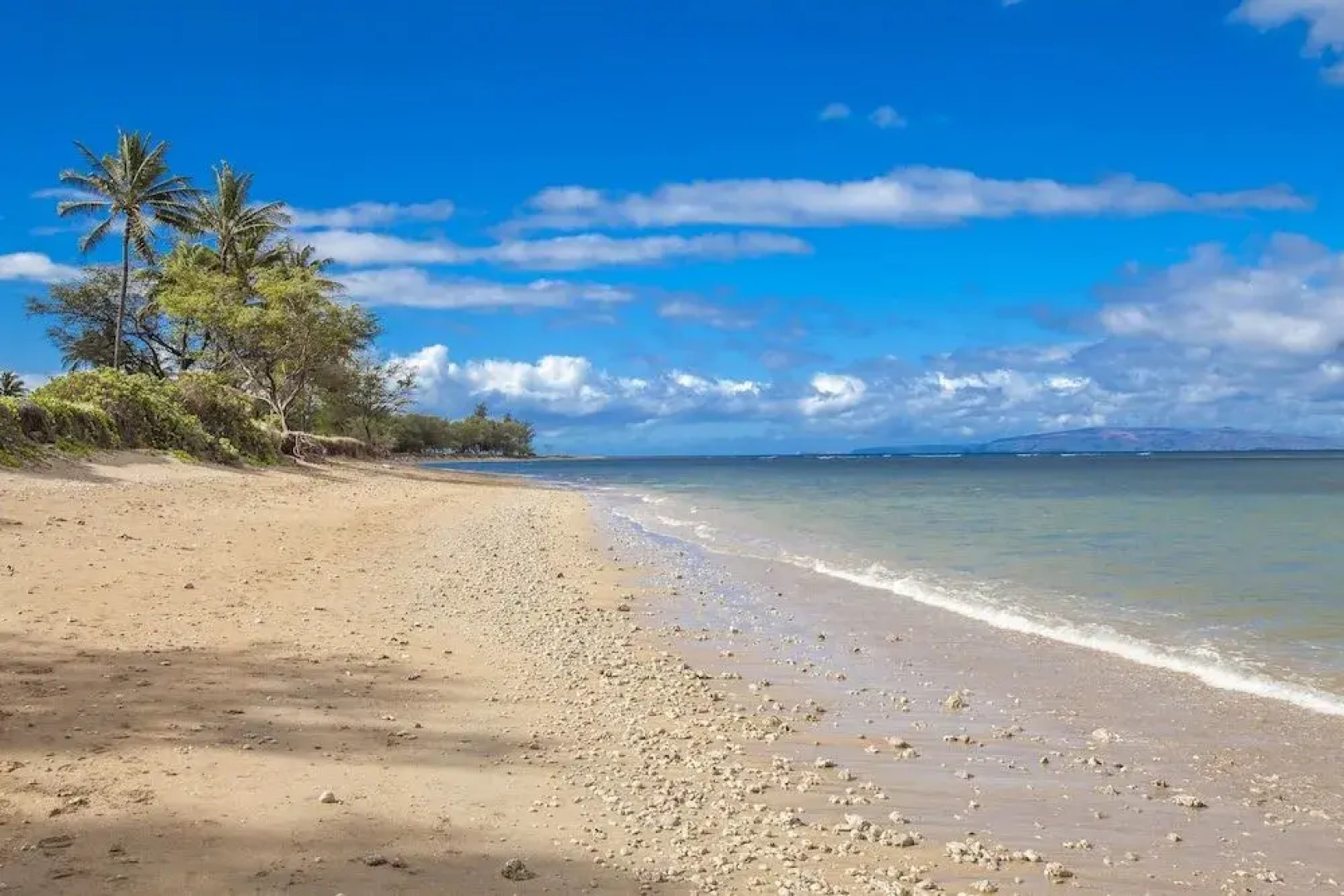 Luana Kai #a-205 1 Bedroom 1 Bathroom Condo