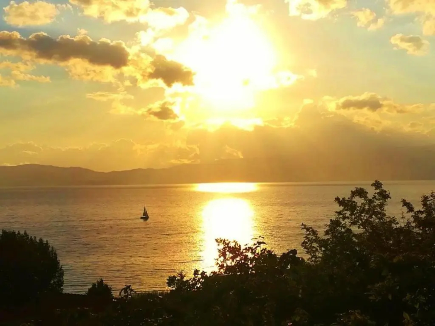 Villa Forest Paradise