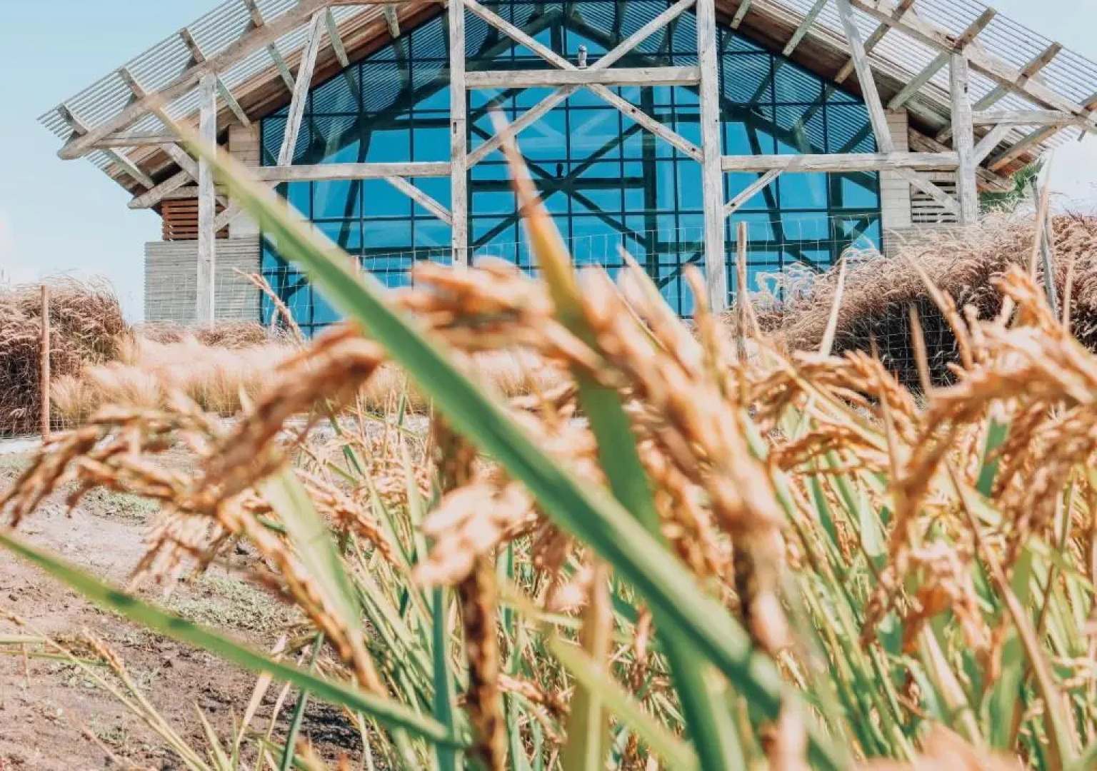 Quinta da Comporta Wellness Boutique Resort