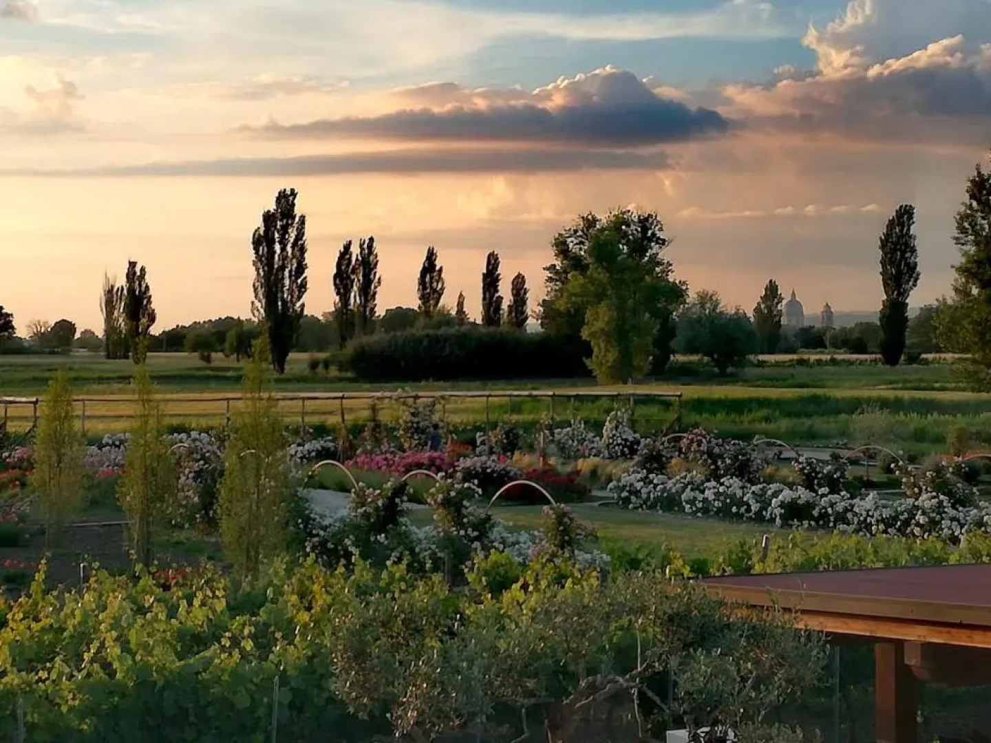 Il Fienile di Assisi