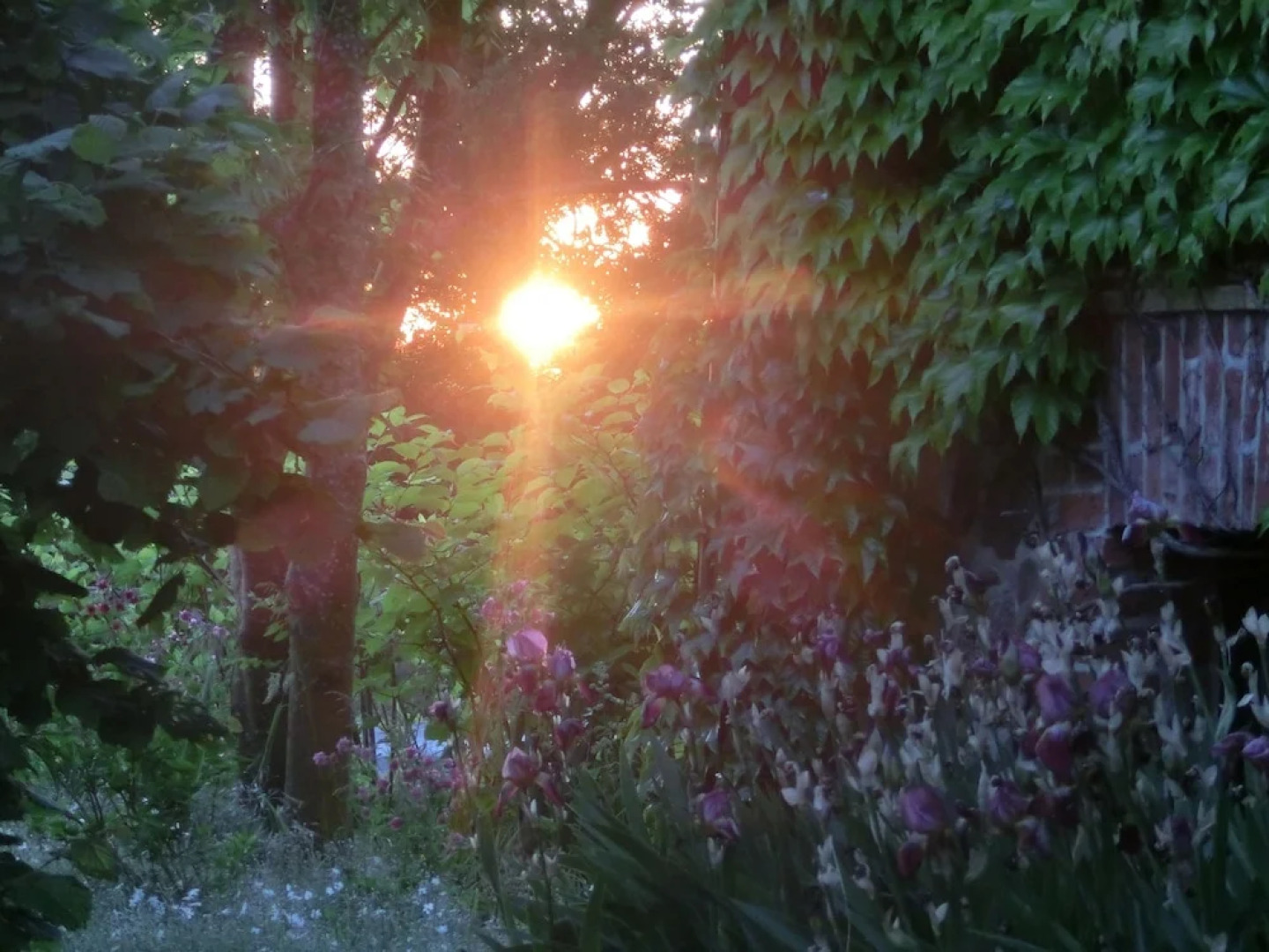 Hotel Domäne Neu Gaarz