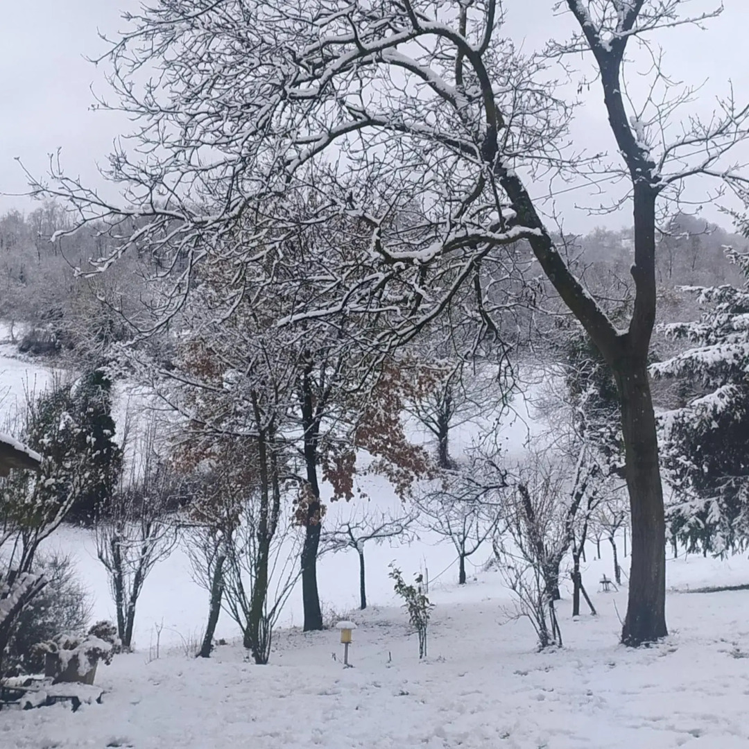 Un posto speciale. La Quagnola