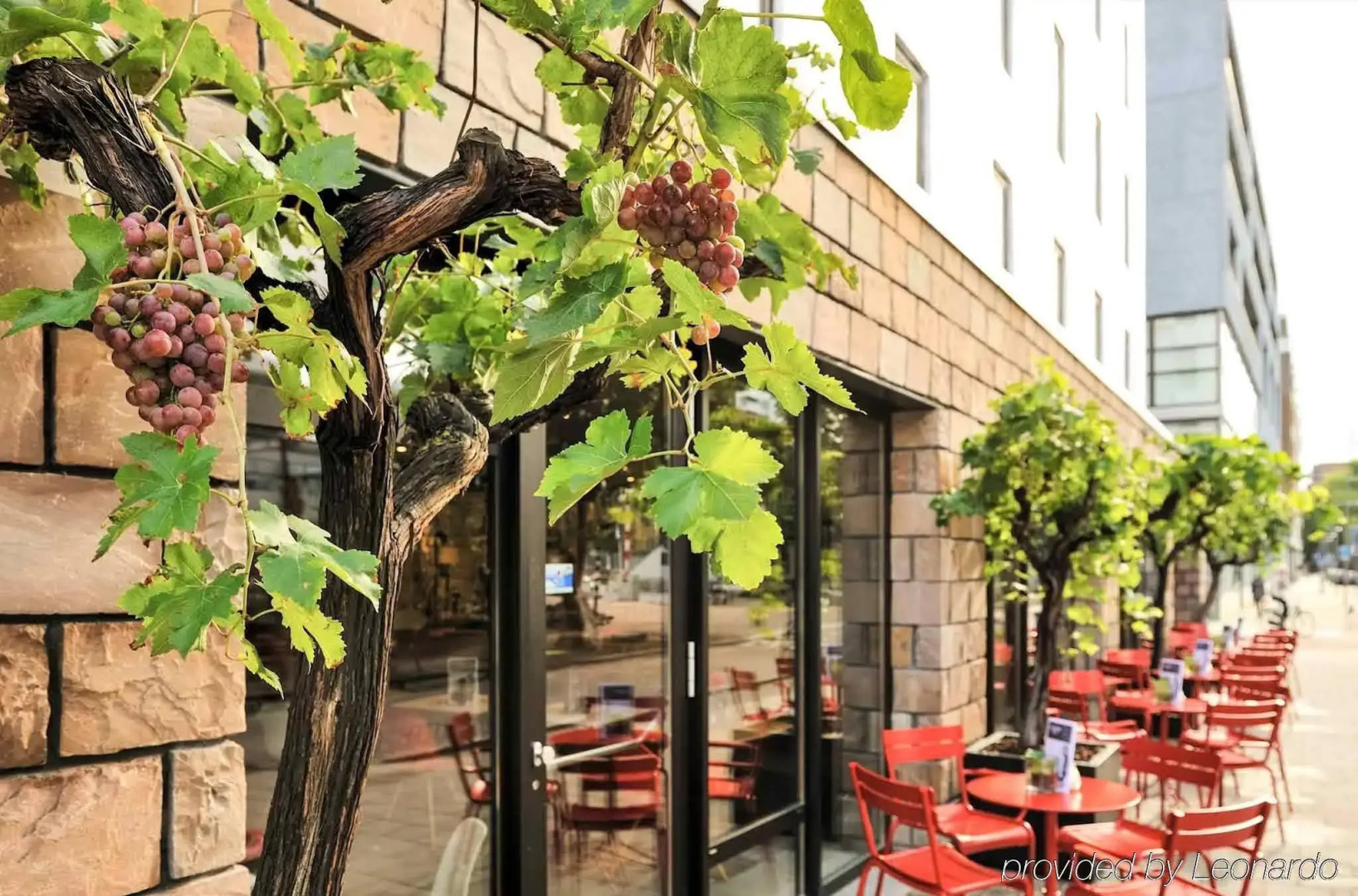 Ibis Rotterdam City Centre