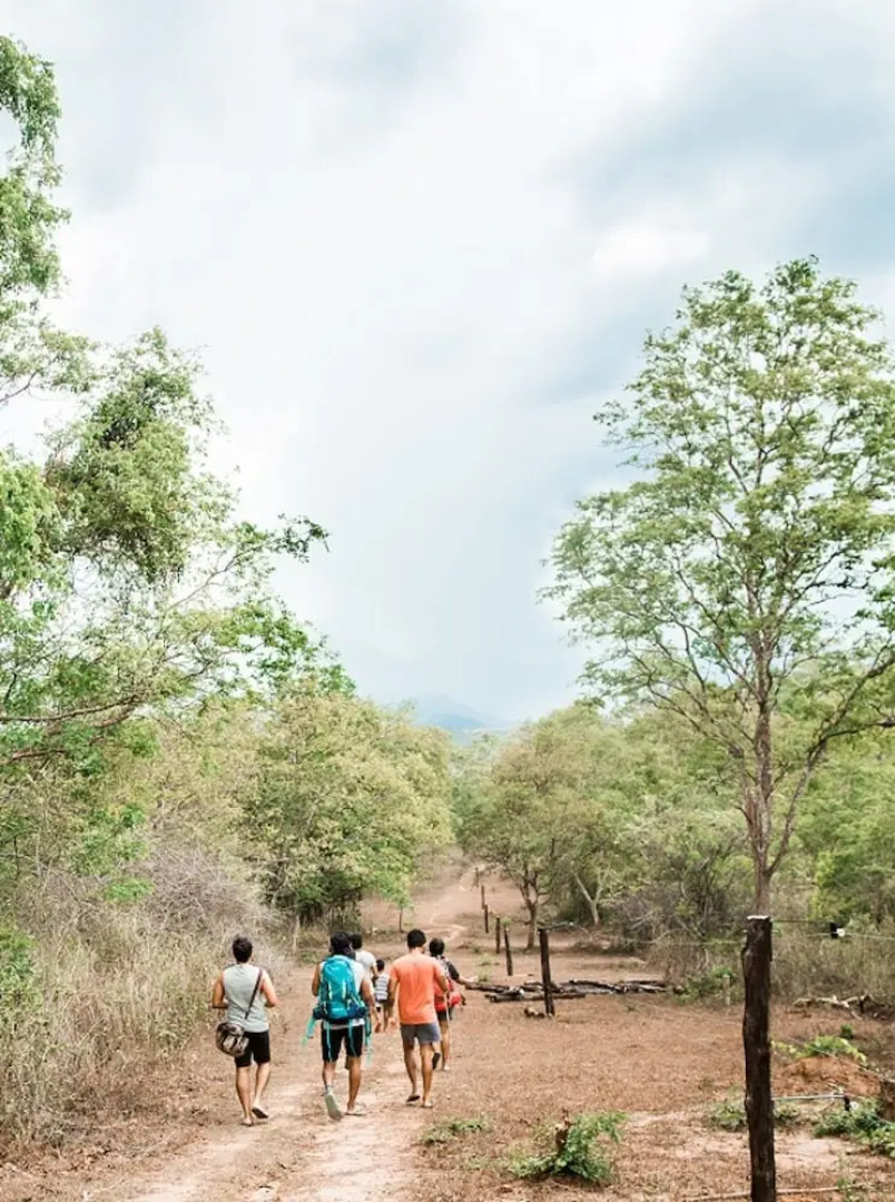 Tropicalfolks Campers Lodge