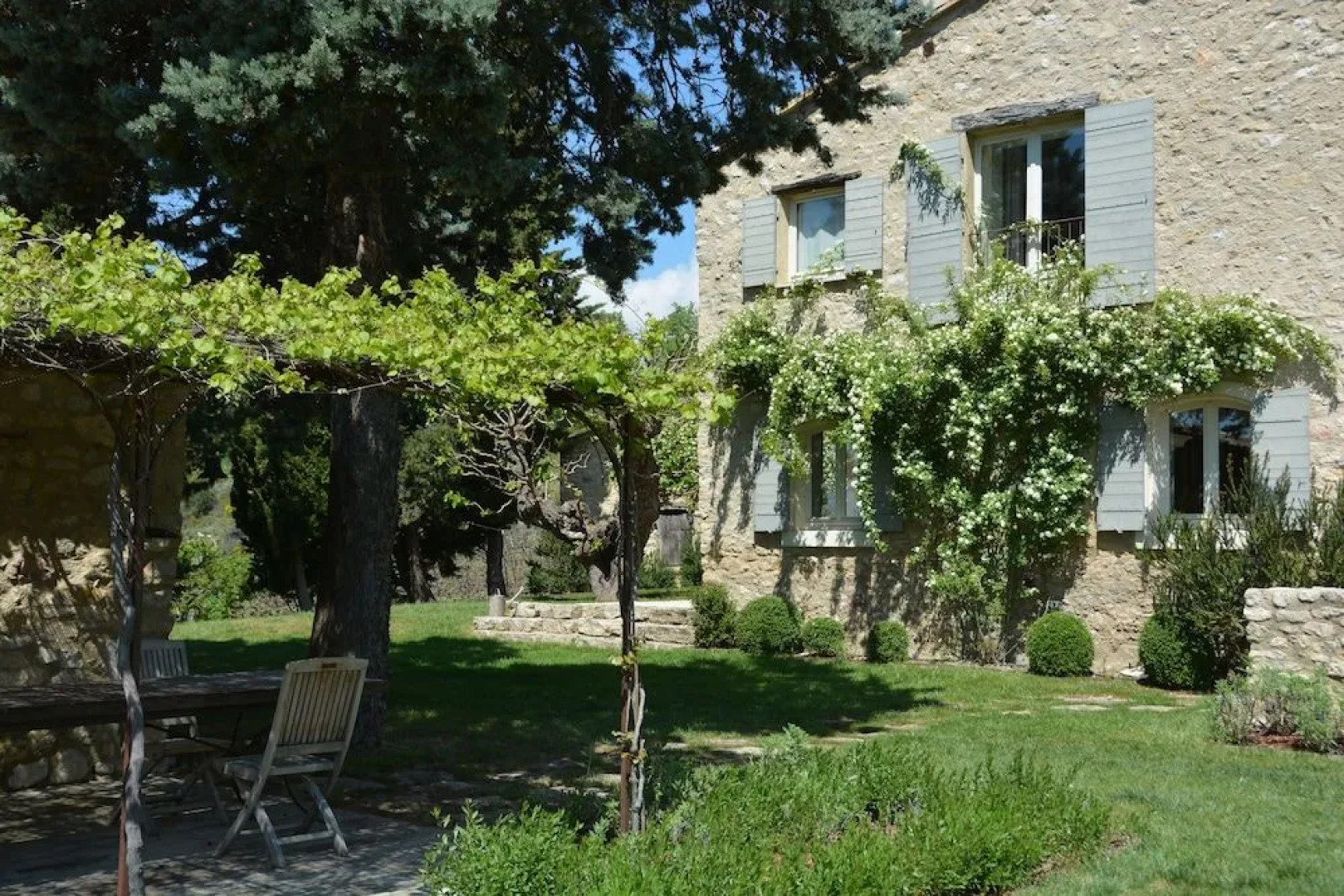 La Couleur des Vignes