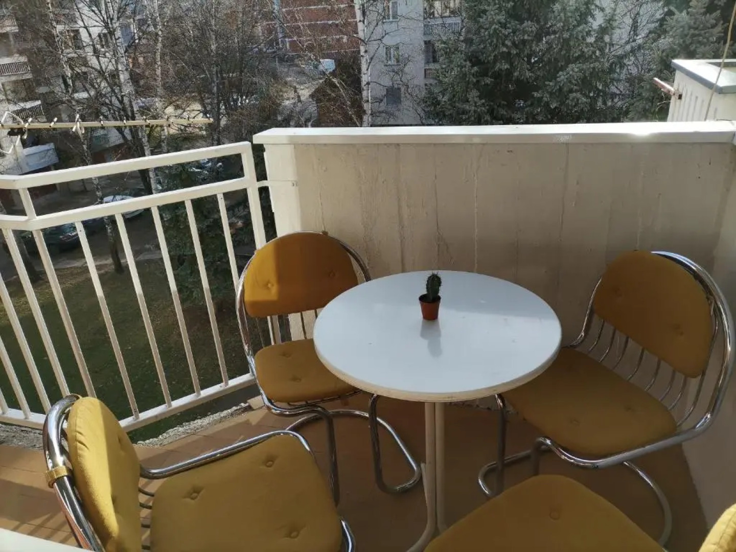 Bajina Basta / Mašta