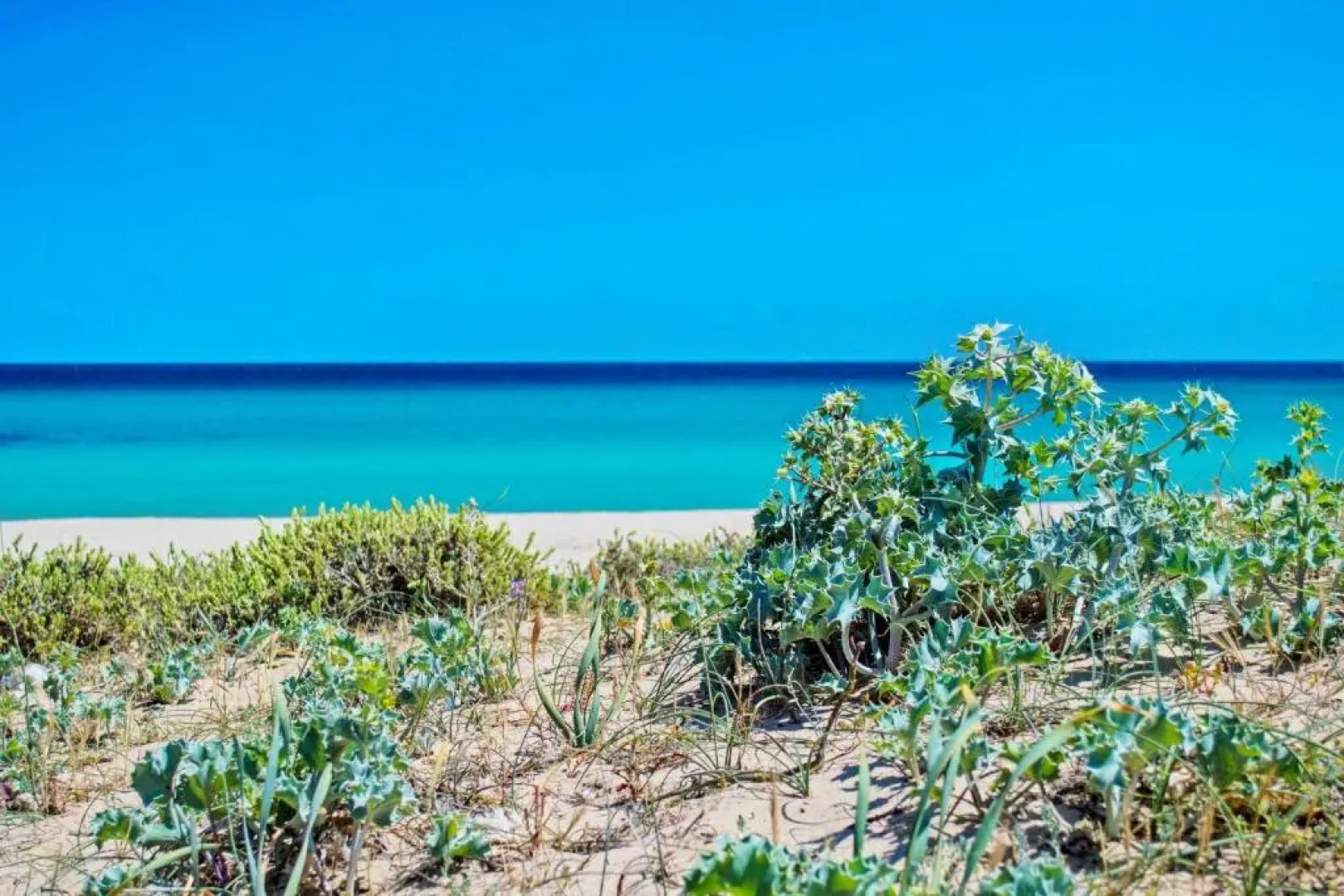 Bilo Holiday a 80 metri dal mare