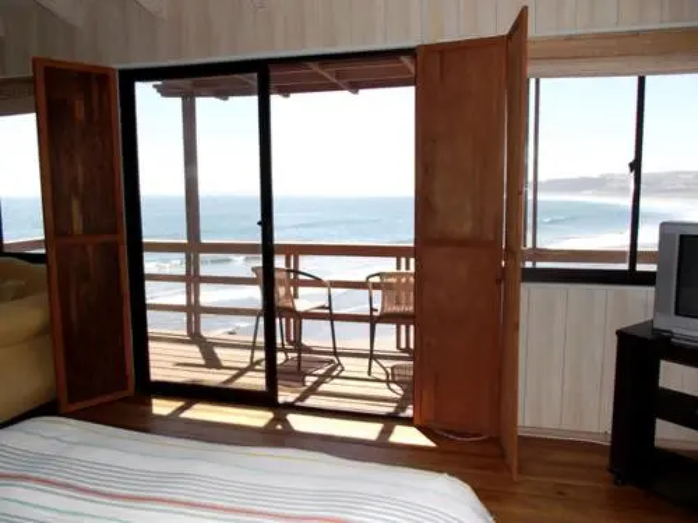 Pingüino En La Roca Cabañas