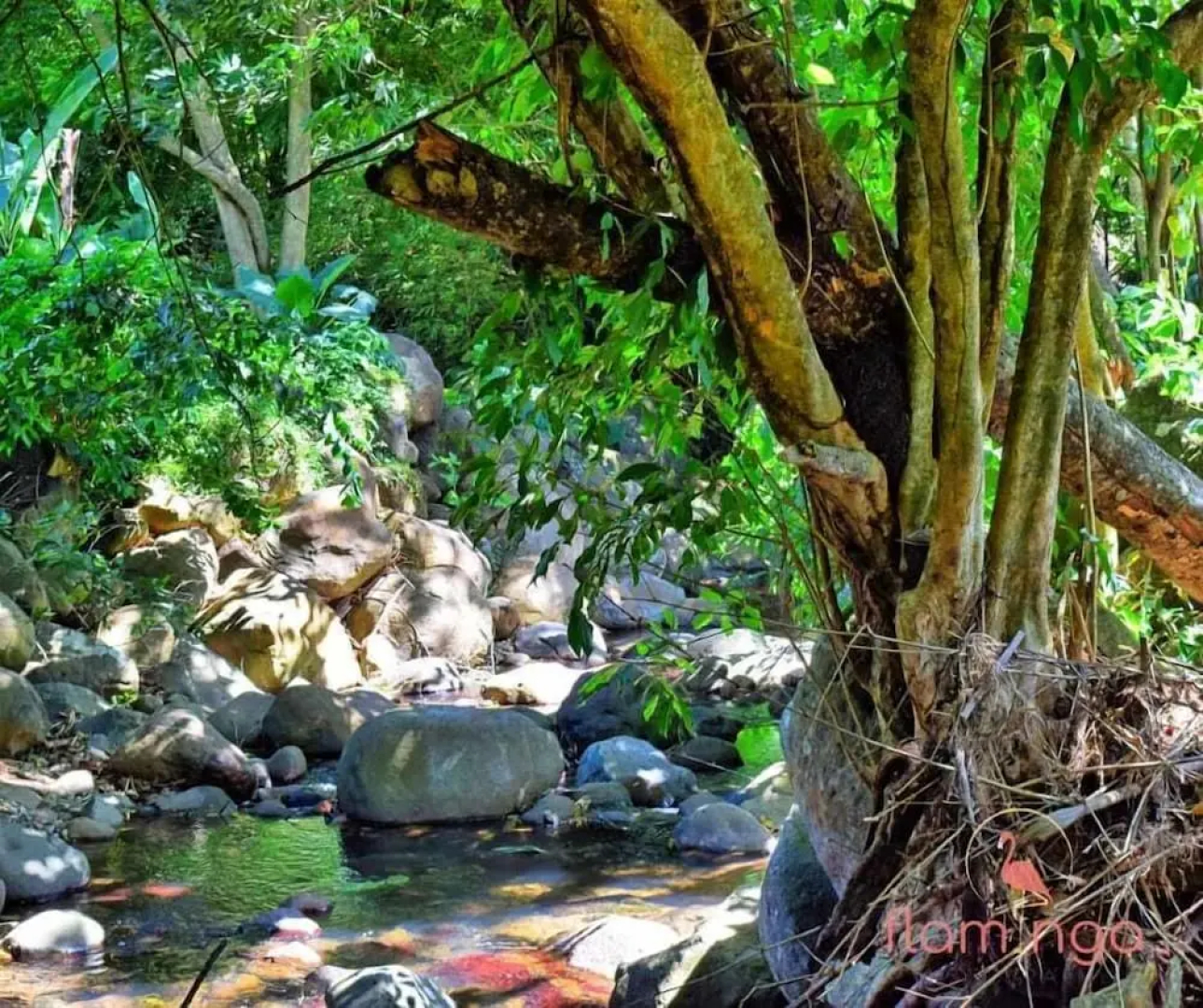 ClarenceVille Villa Apartments