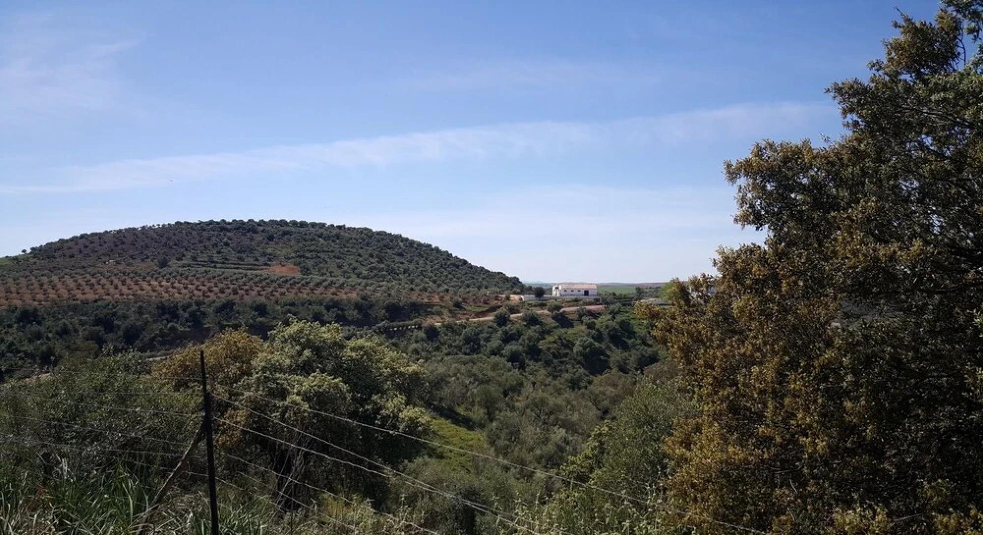 House With 2 Bedrooms in Puerto Serrano, With Wonderful Mountain View,