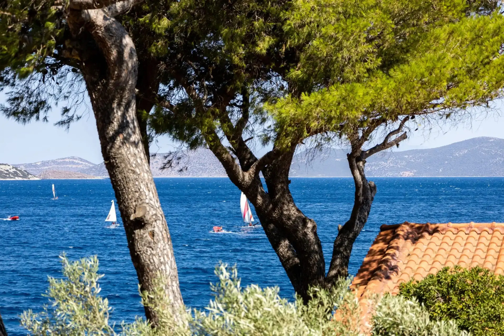 Venus Beach Bungalows Hotel