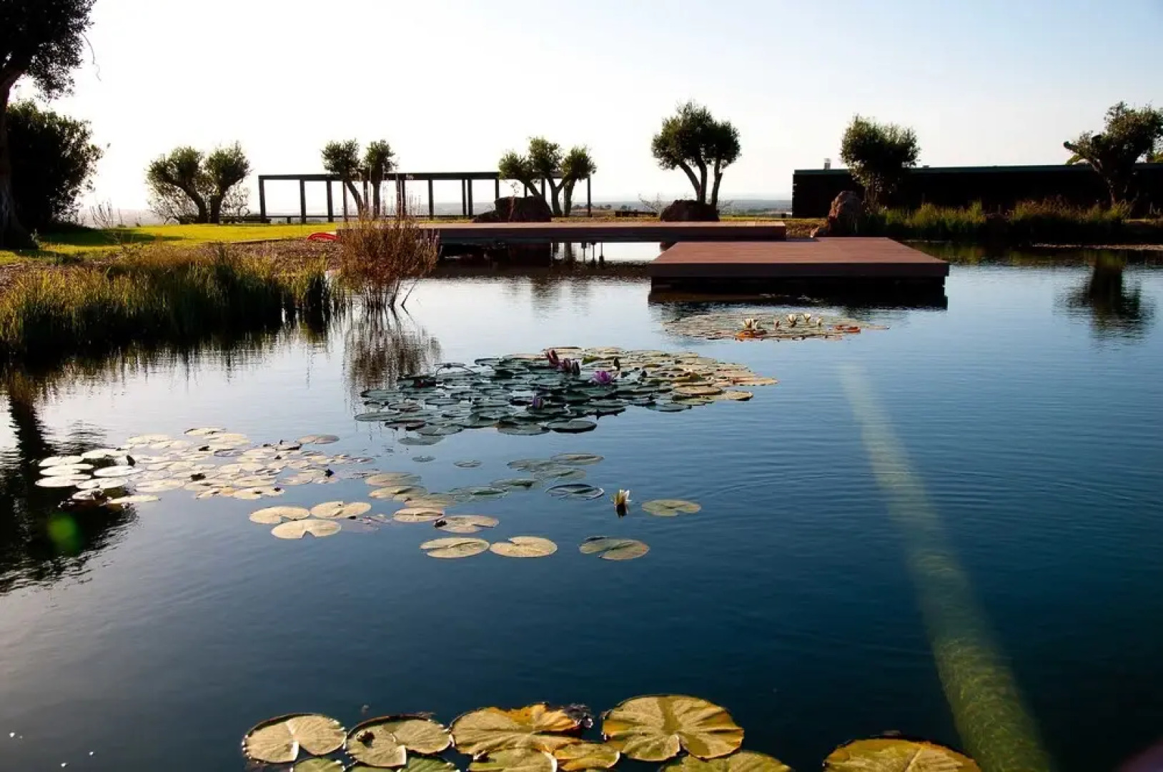 Reserva Alecrim Eco Suites & Glamping