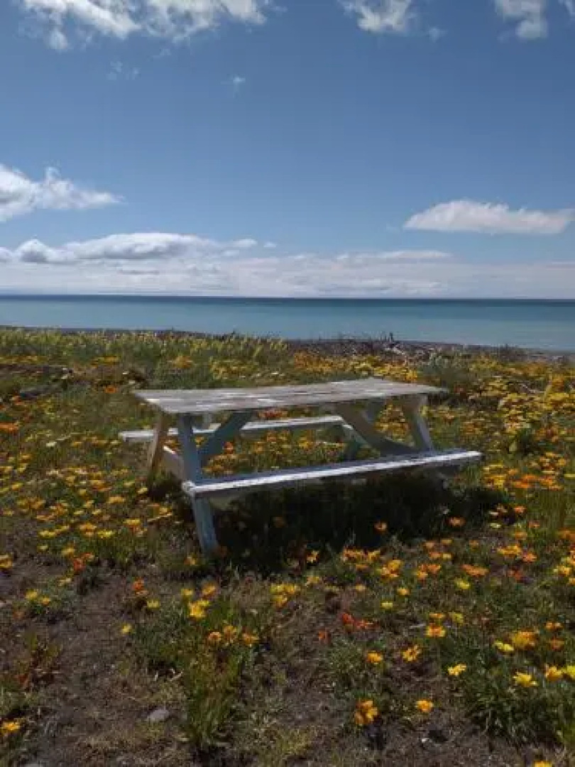 Rarangi Seaview On The Beach