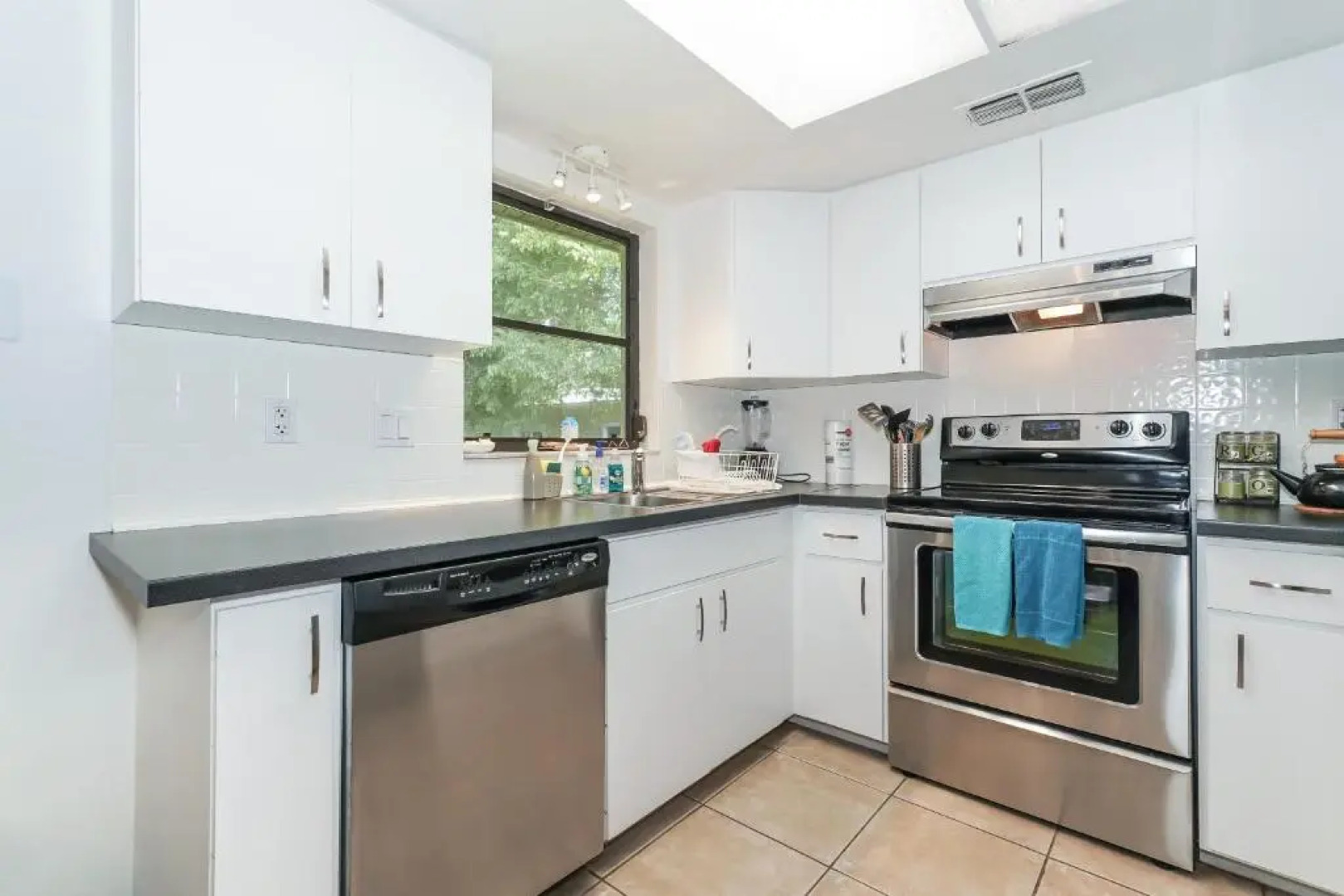 Tropical Fruit Garden