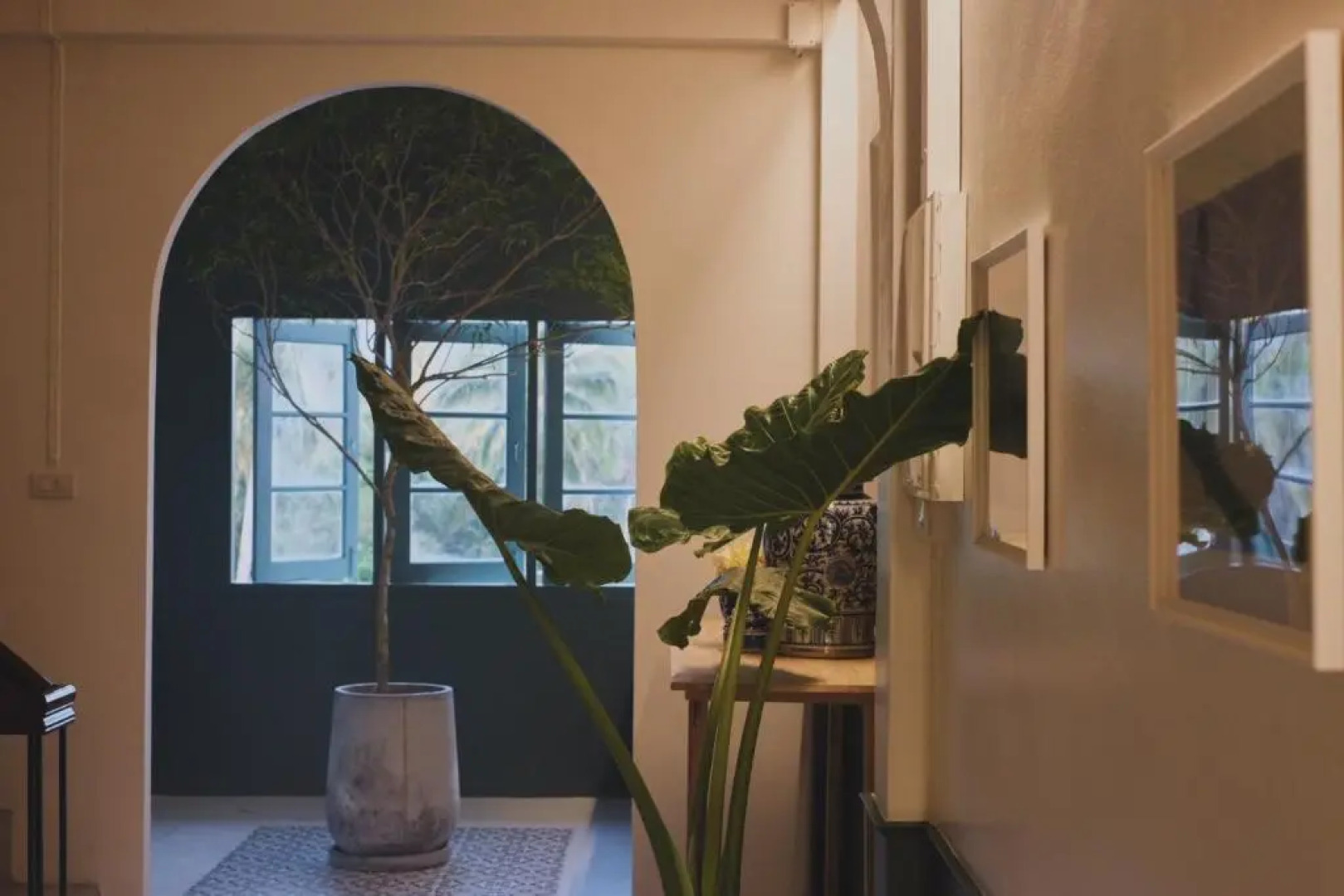 Matou Hostel and Cafe