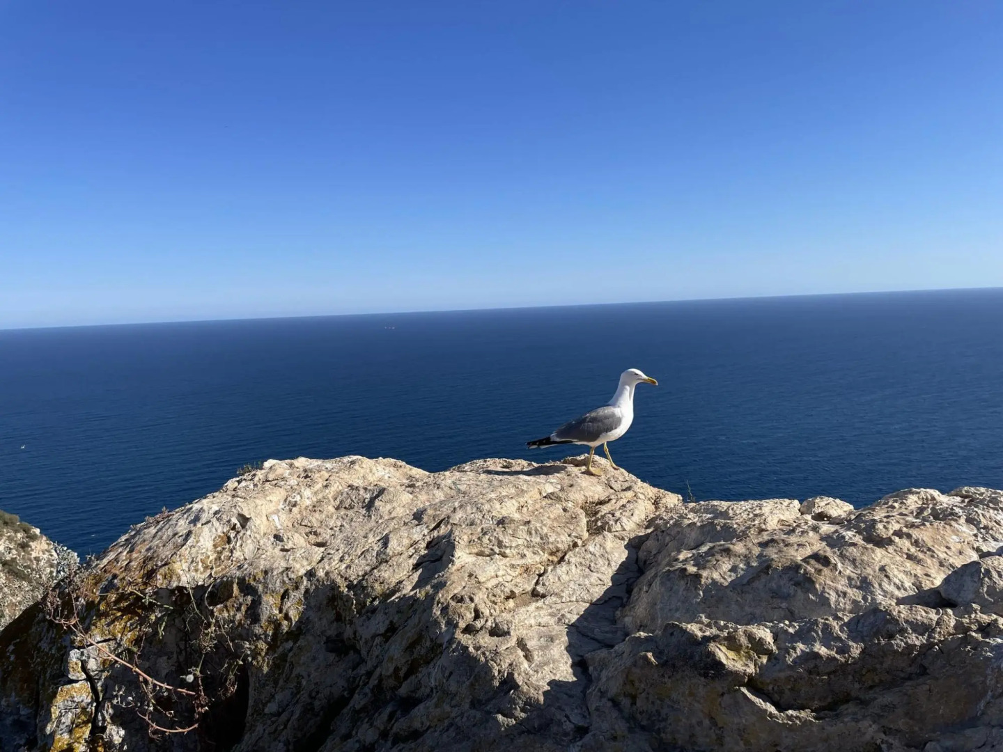 Charming 4pax Villa in the Mountains Spectacular View Private Pool