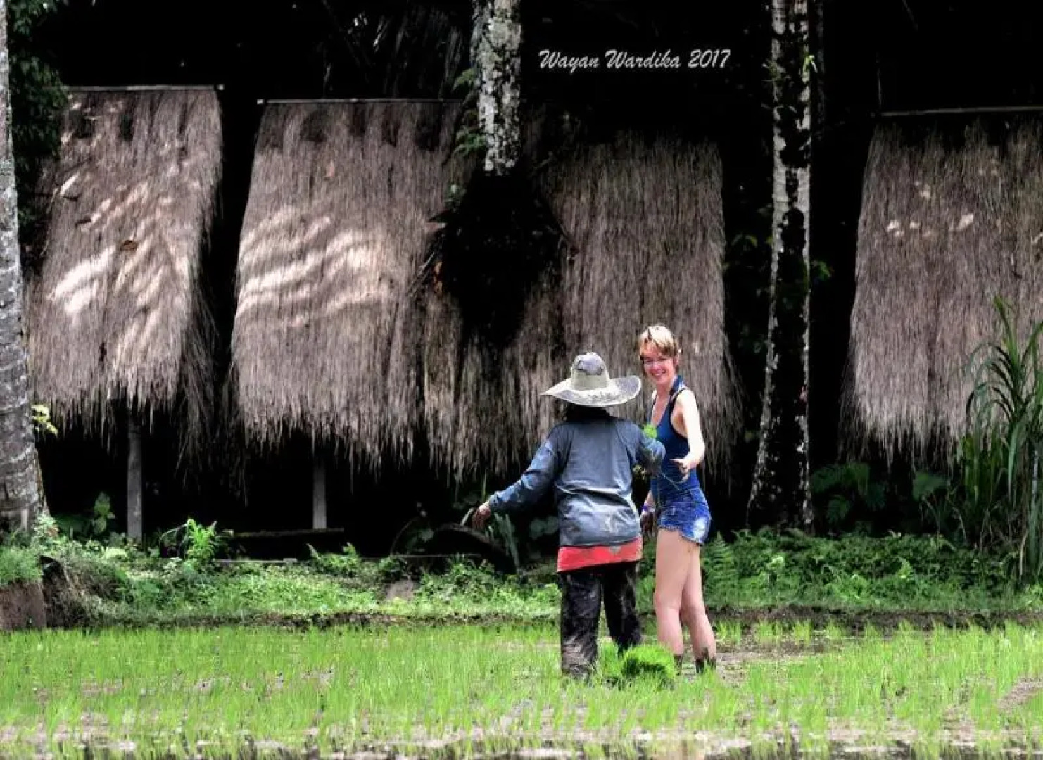 Tegal Dukuh Camp by ZUZU