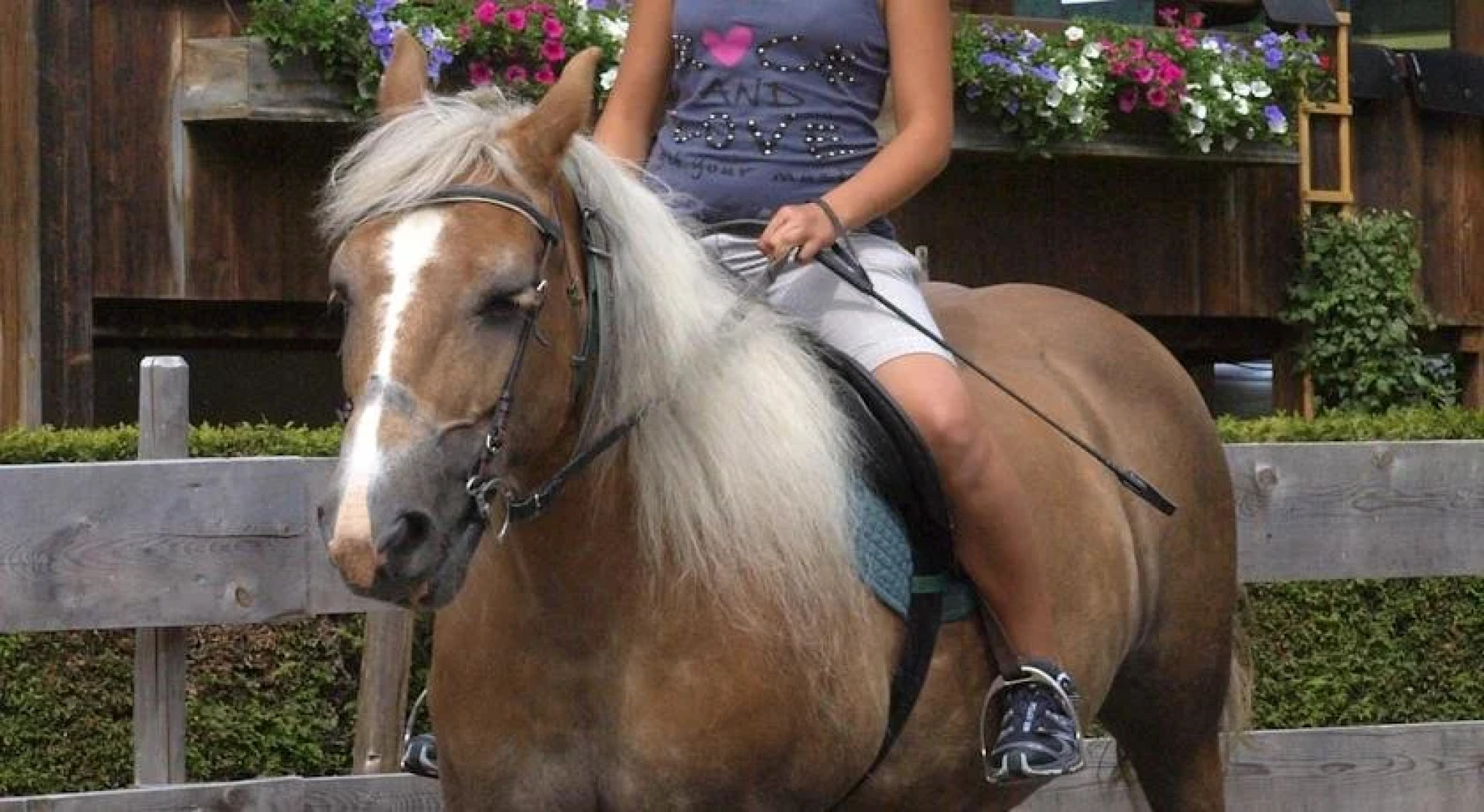 Ferienbauernhof Moosbrugger