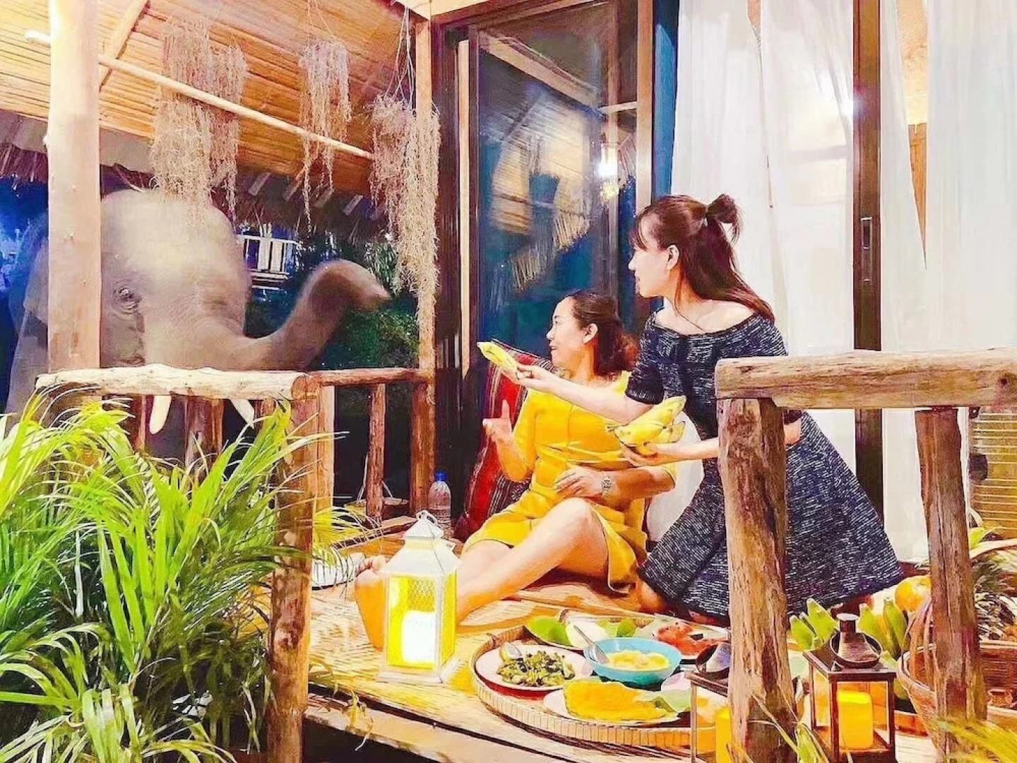 3pok resort Maewang jinxing