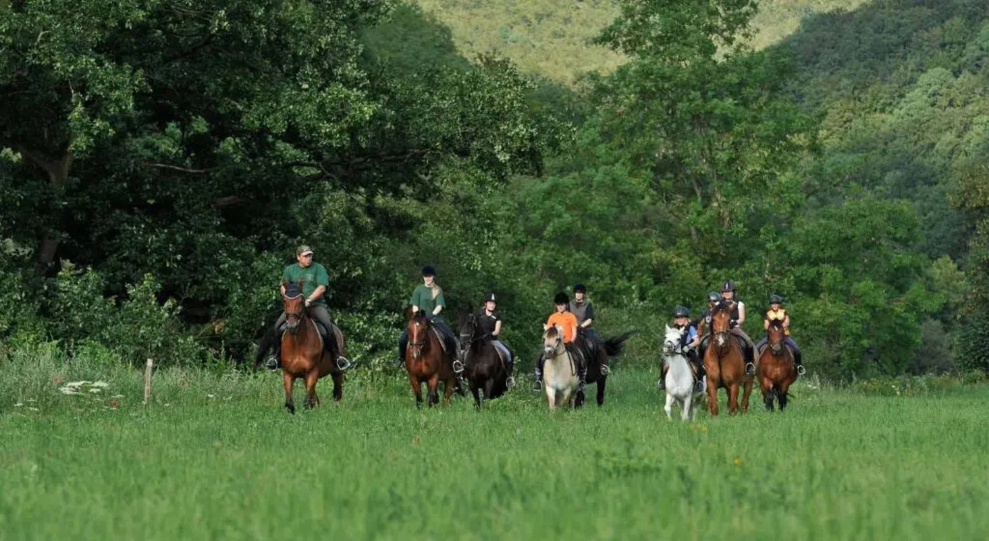 Landgasthof Probstei Zella