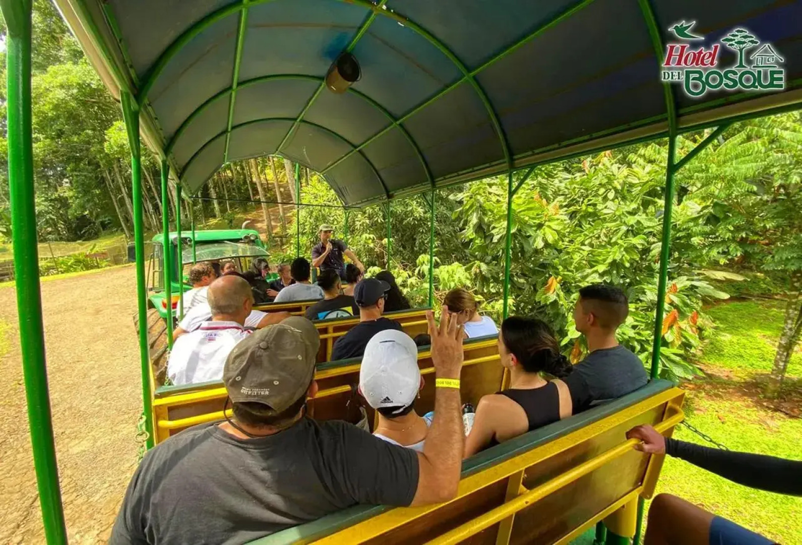 Hotel del Bosque Costa Rica