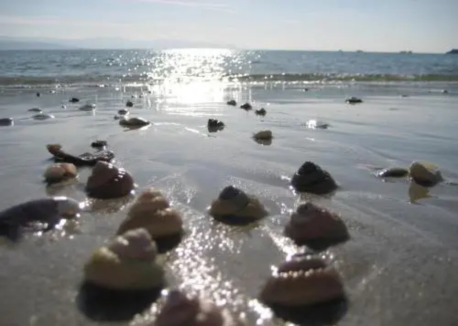 Apartamento Langosteira