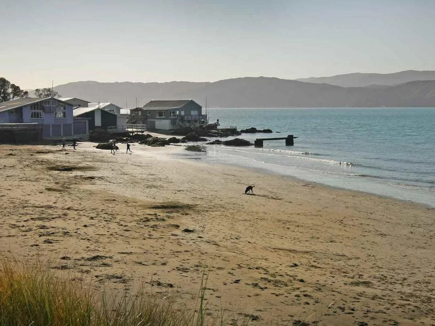 Beachfront Wellington Bed and Breakfast