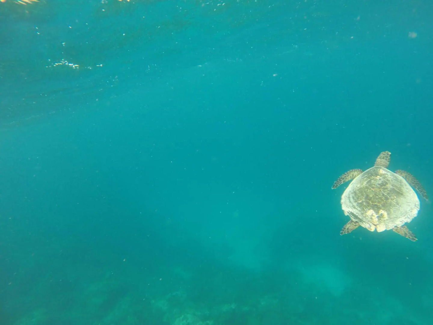 White Sand Lodge at Maafushi