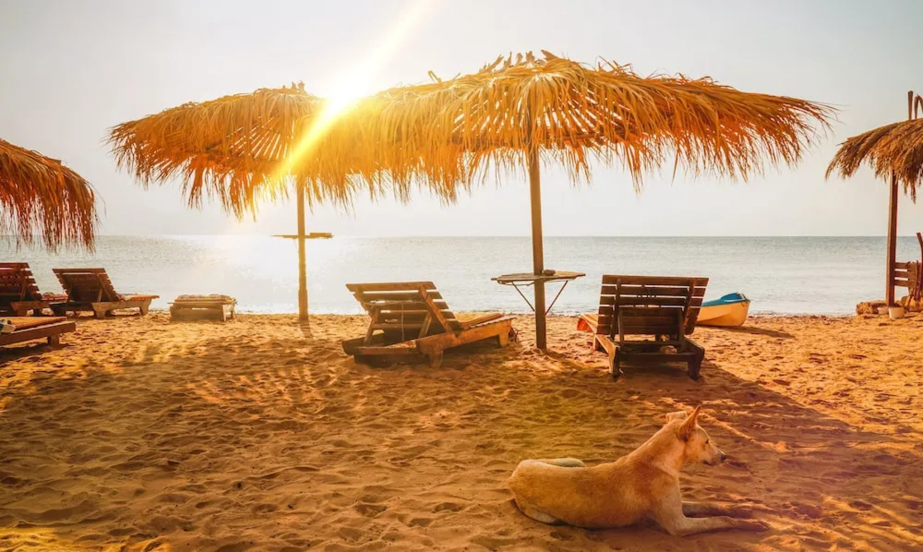 Bungalow With Swimming-pool - Garden - Jacuzzi