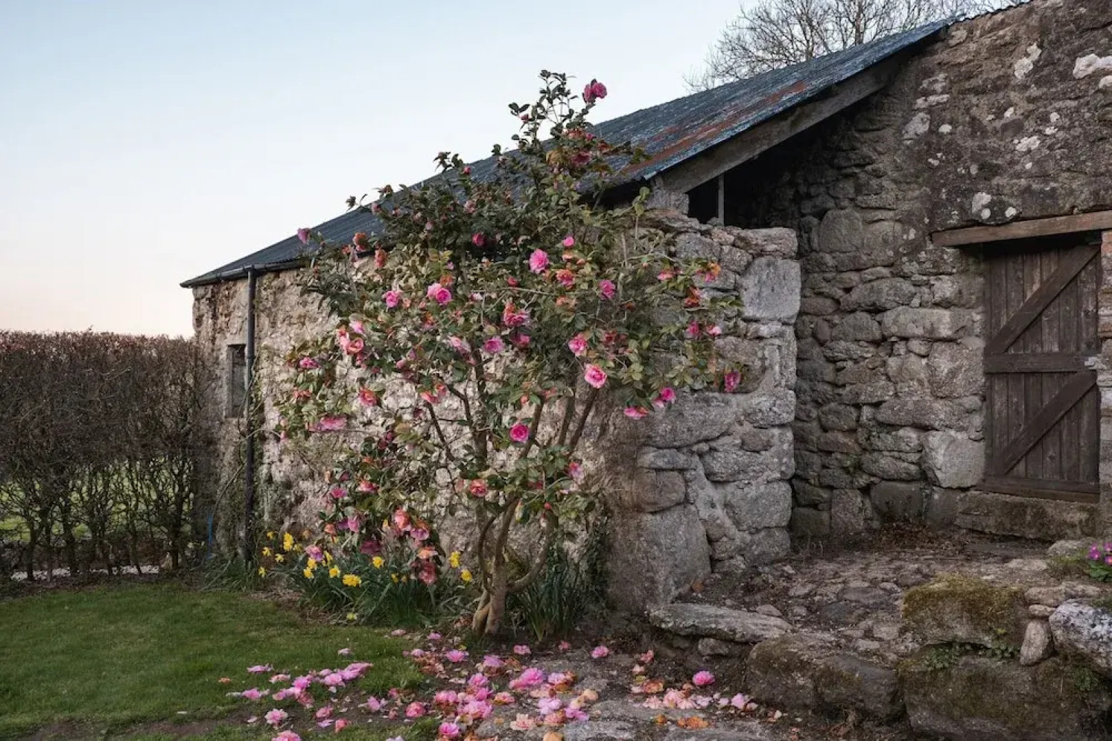 Butterwell Cottage at Collihole