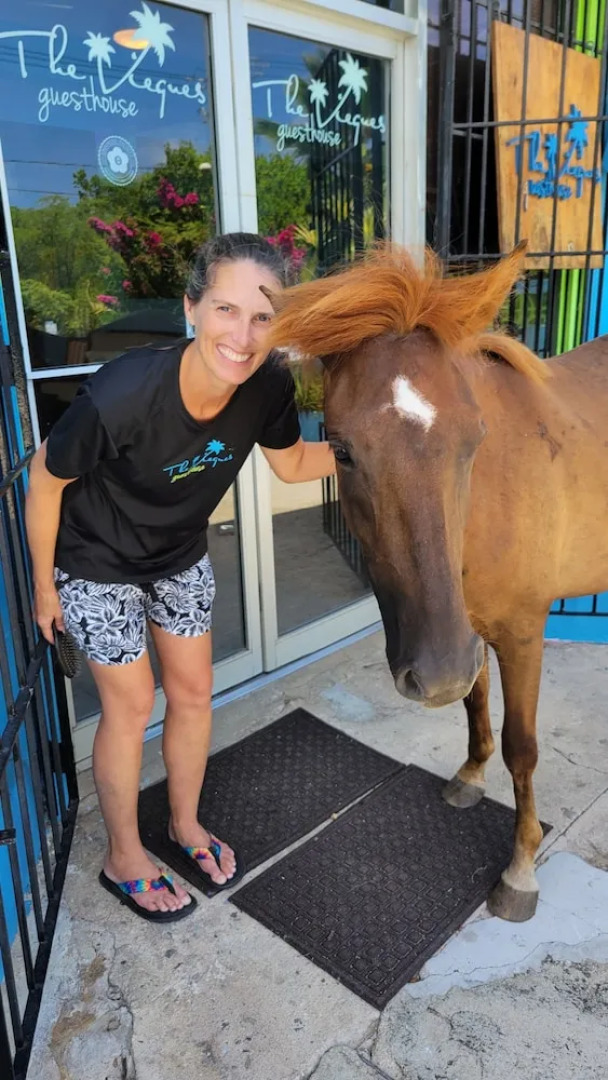 The Vieques Guesthouse