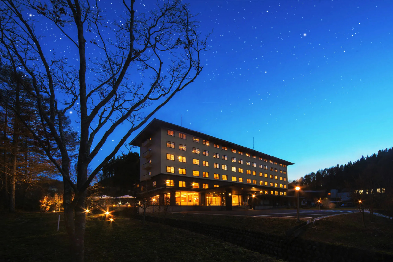 Hotel Ryu Resort and Spa