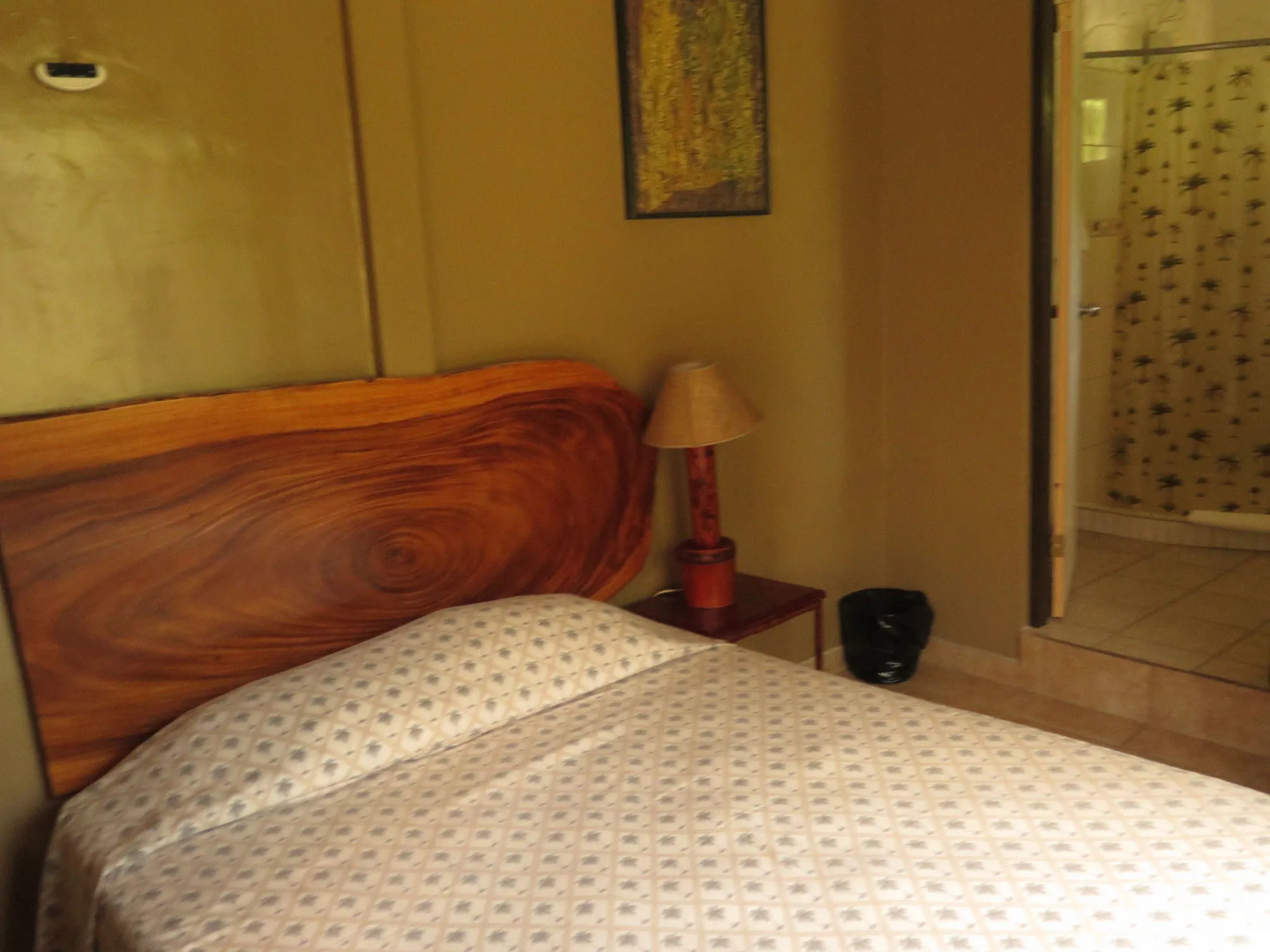 The Palms At Coco Beach