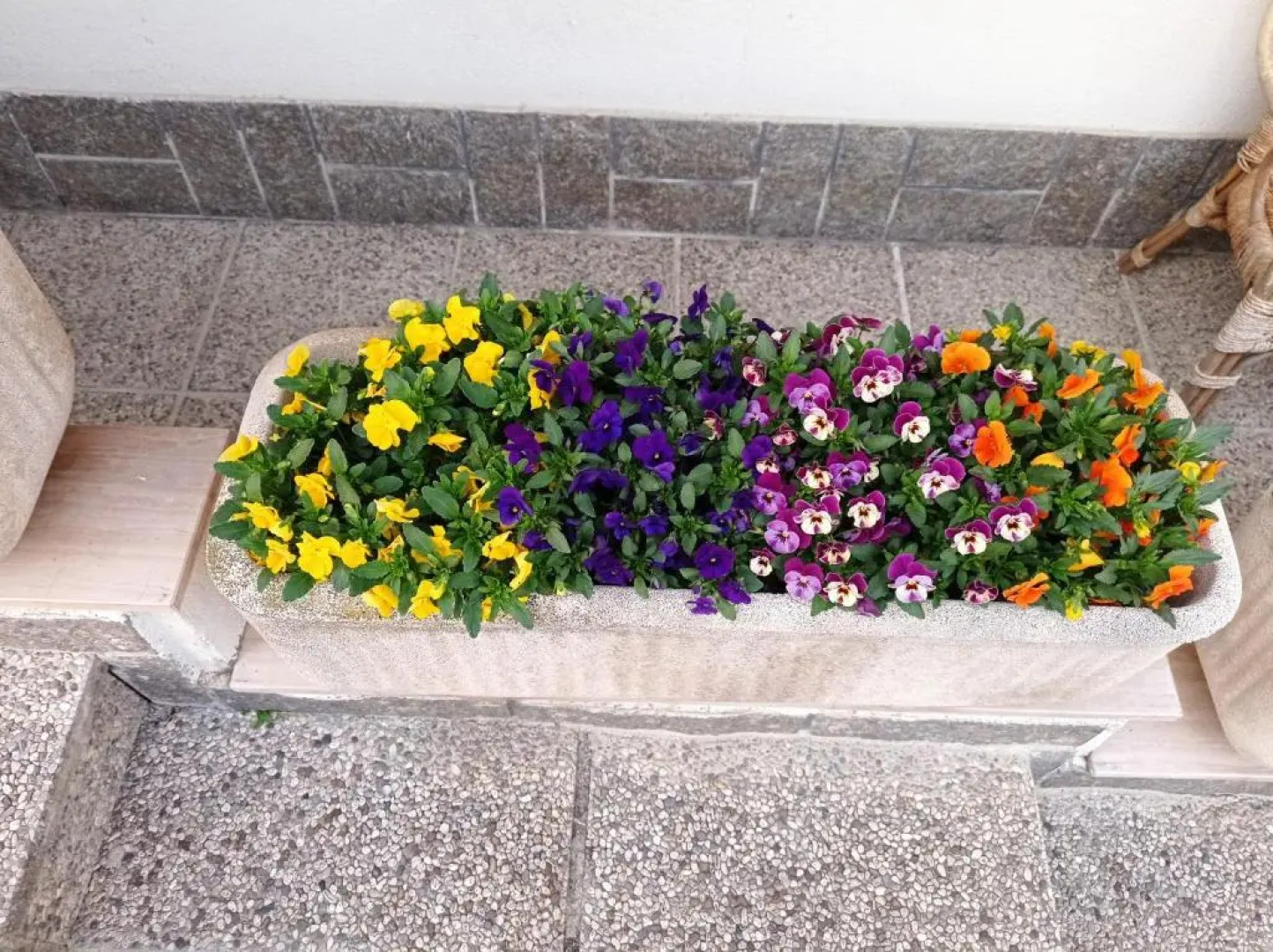 Appartamento con giardino Gemona