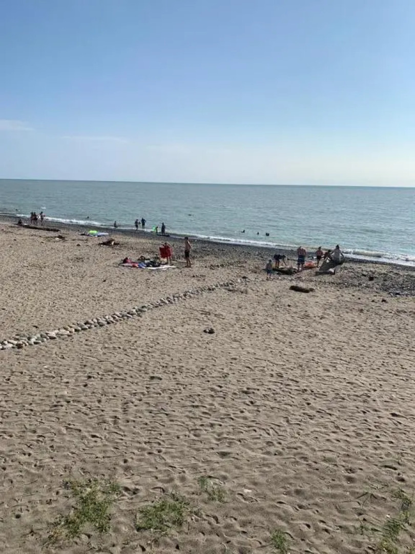 Черный слон Каштак (Сухум)