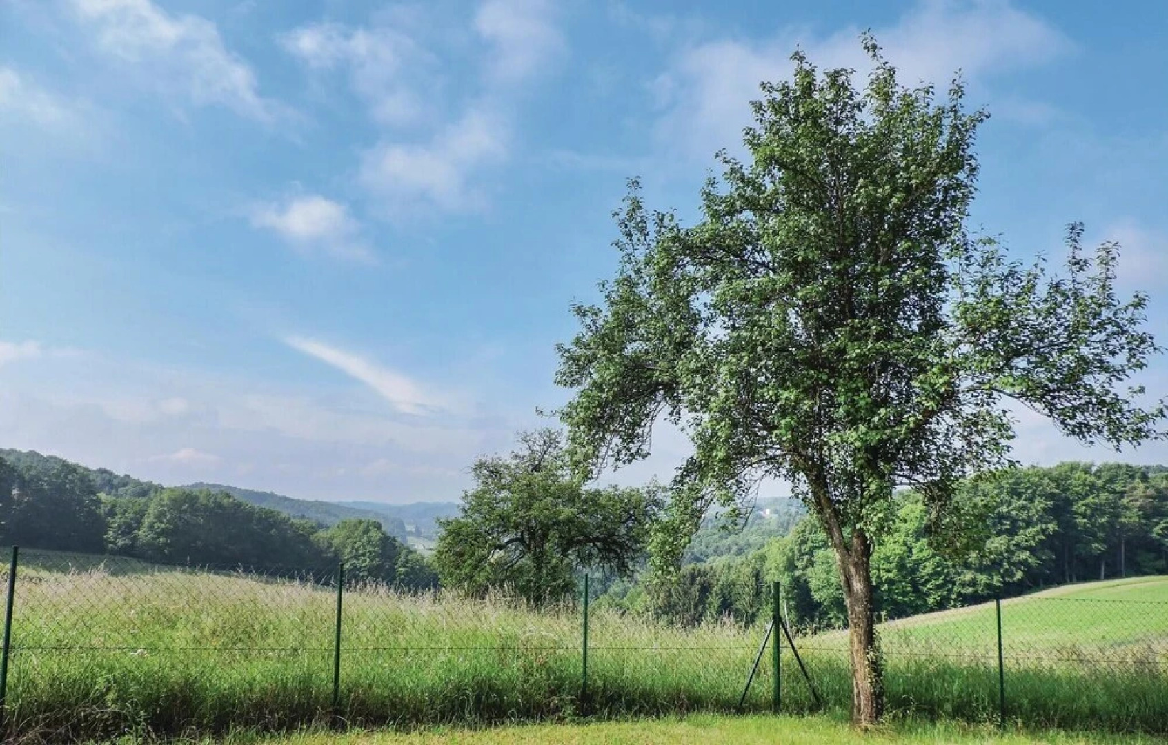 Awesome Home in Feldbach With 1 Bedrooms and Internet