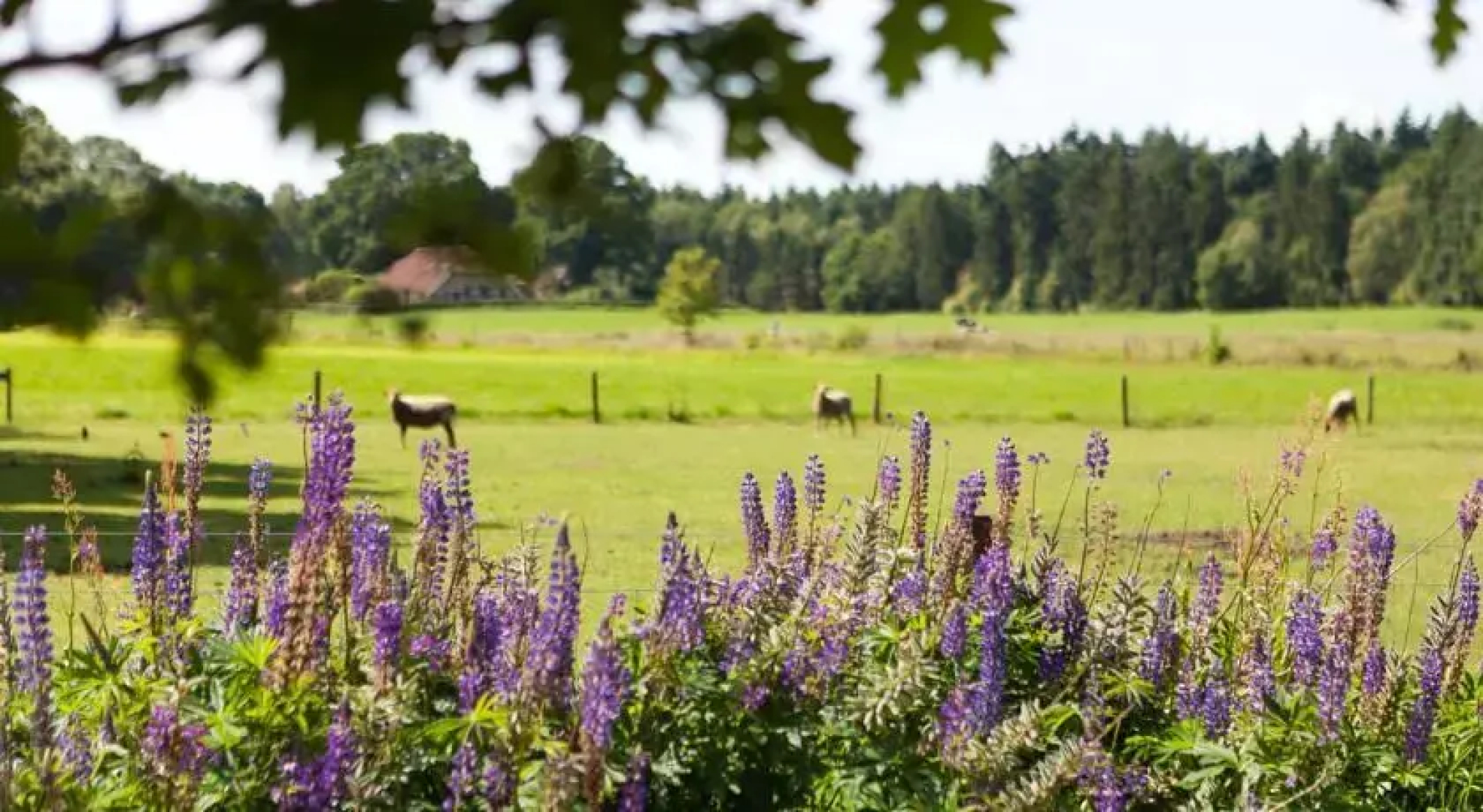 Luxe Wellness Kamer Op De Boerderij