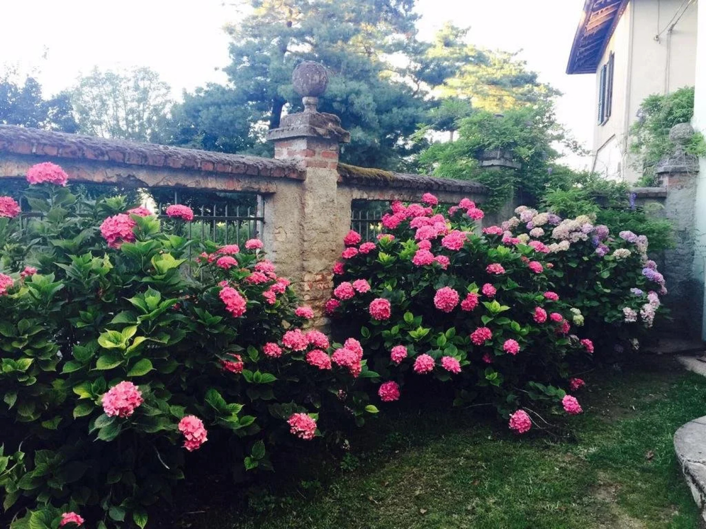 Agriturismo Tenuta Camillo