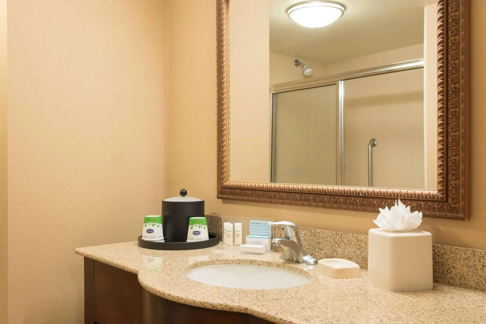 Walt Disney World Swan