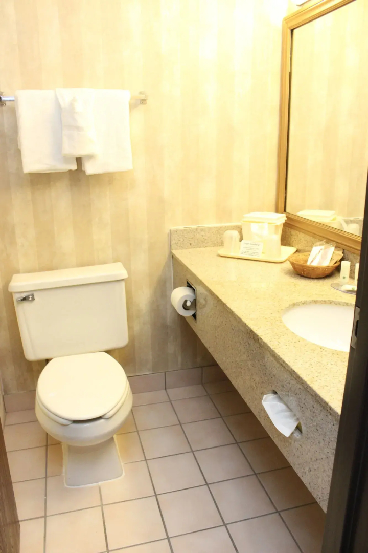 Quality Inn & Suites Detroit Metro Airport