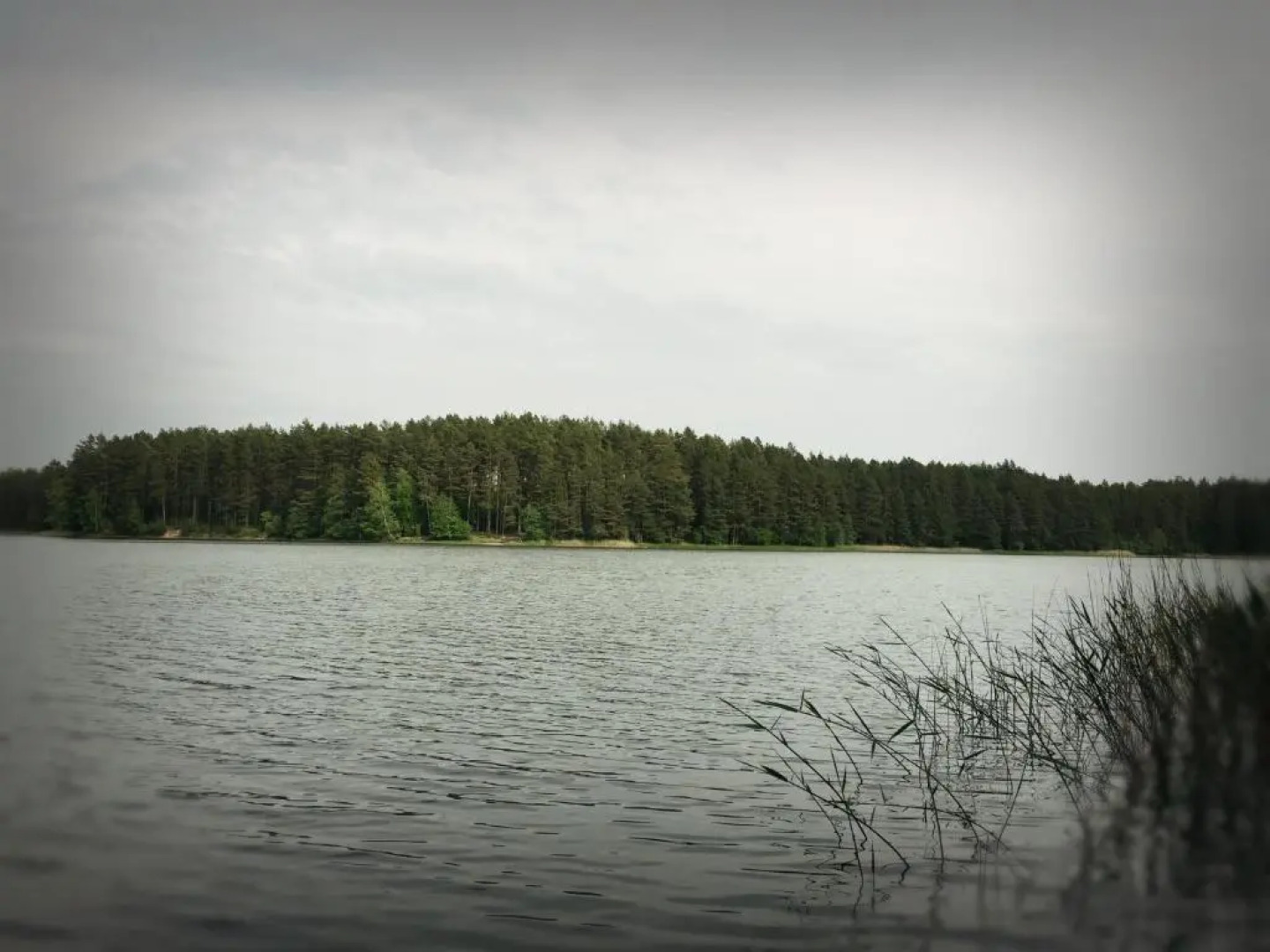 Mazurska Leśniczówka Nowy Zyzdrój