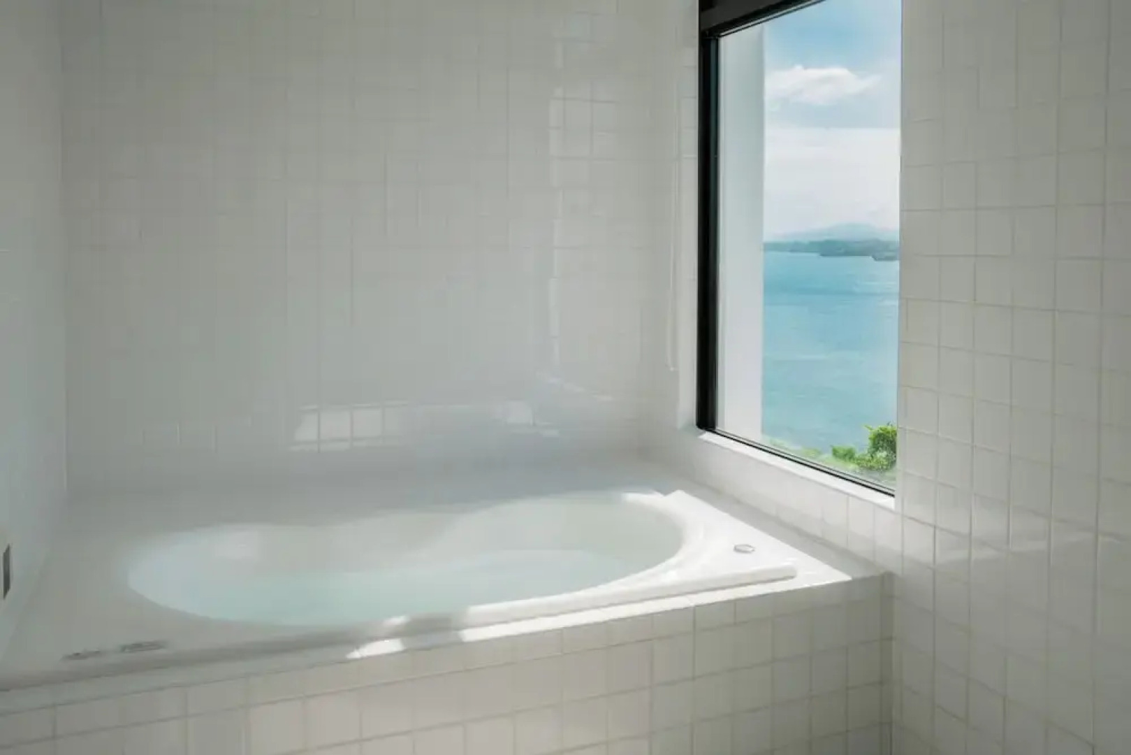 Blue Steak Wonder Senaha