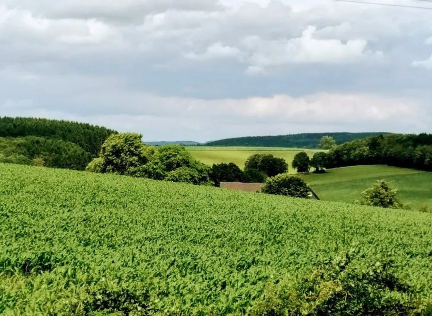 Landgasthof Bergische Rhon