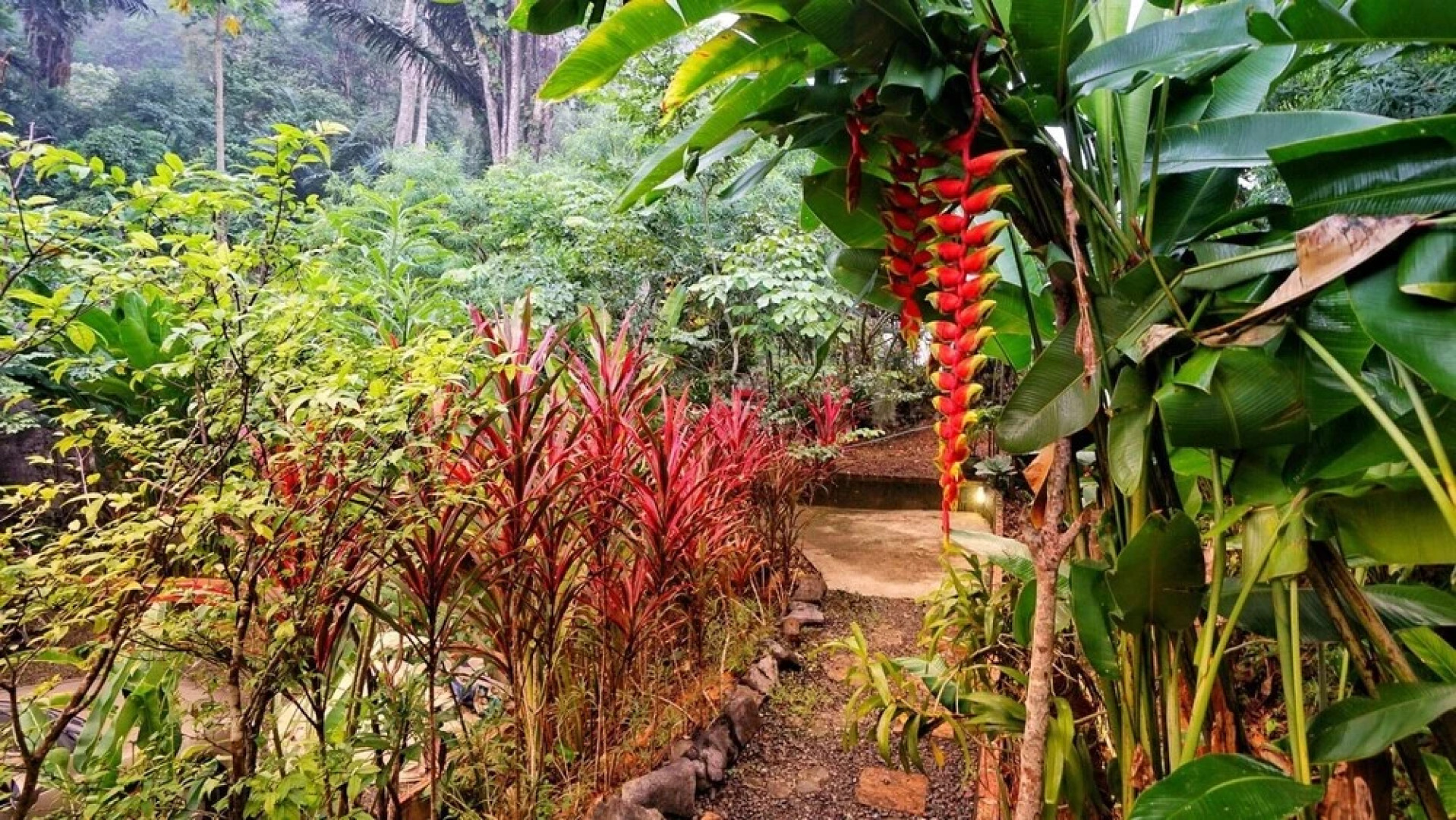 Khaowong Resort Phangnga