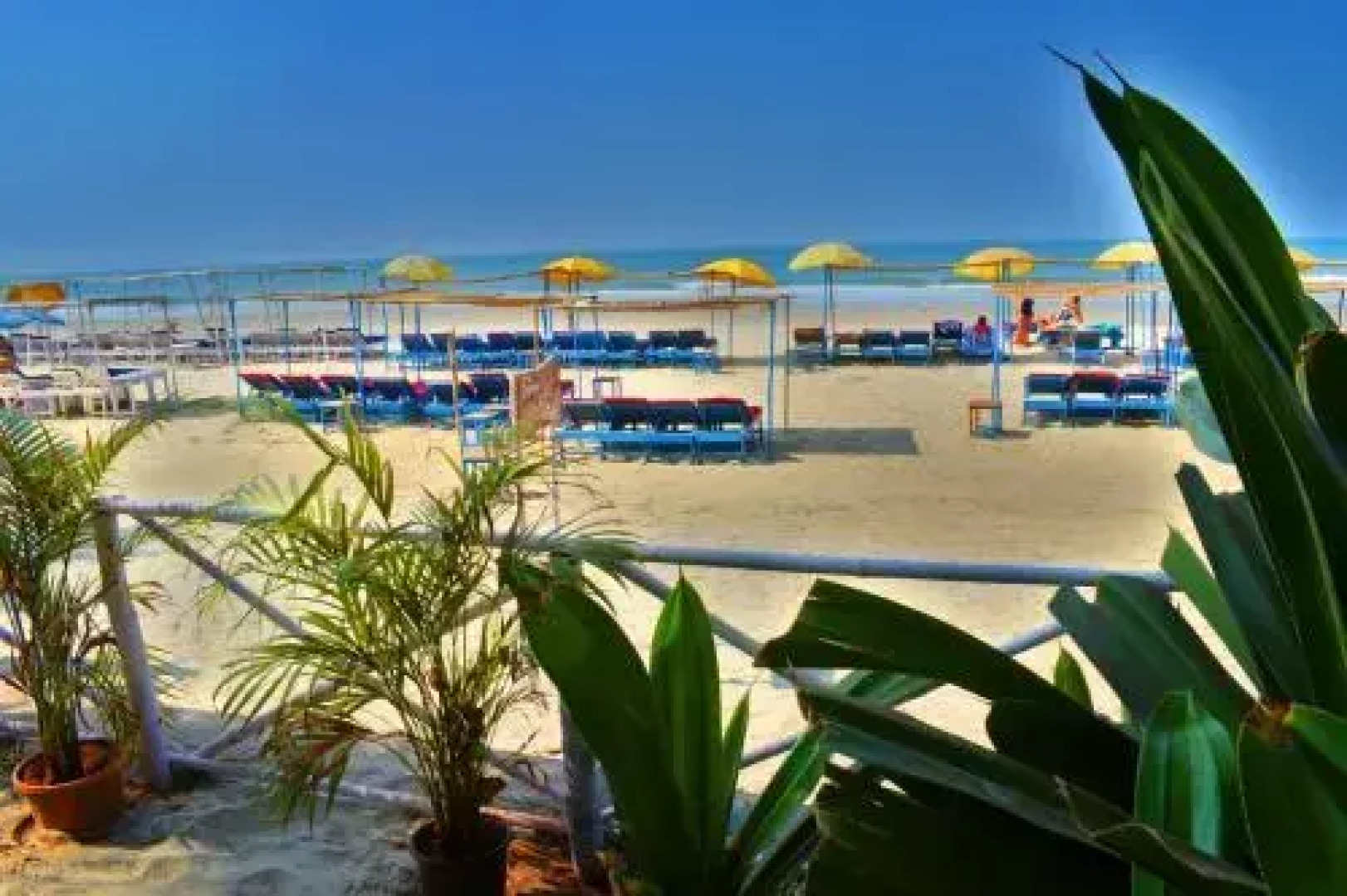 Xaviers Cafe & Beach Huts