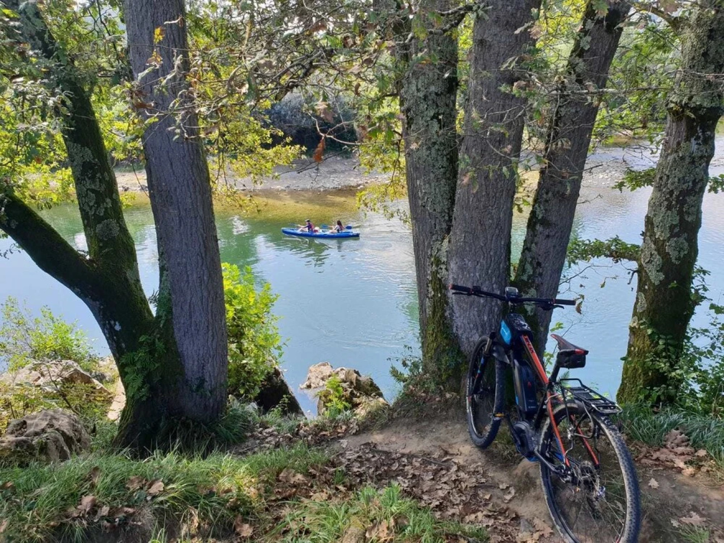 El Búho de la Remolina